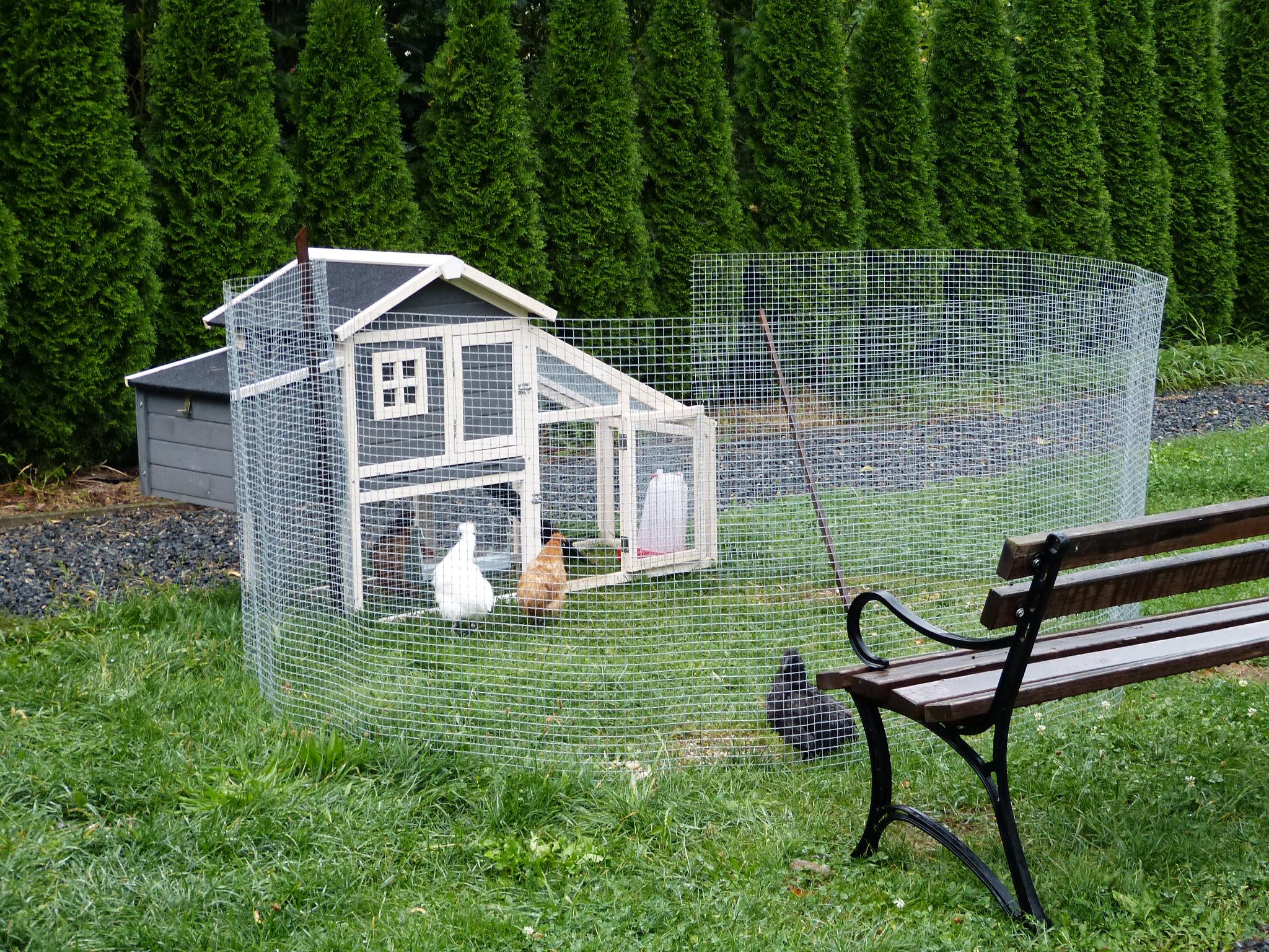 Ubytování U rytíře Střely foto 4