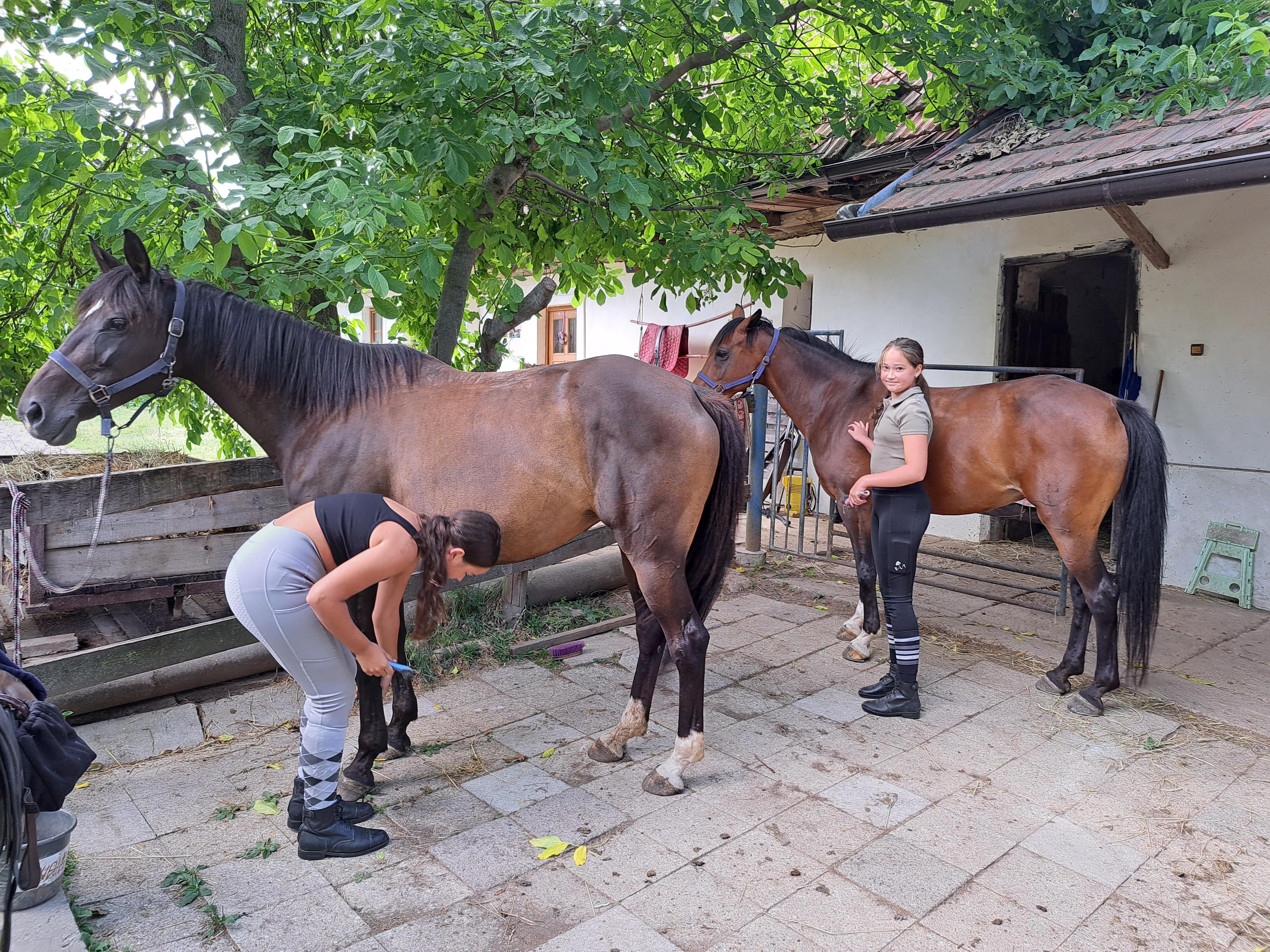 Stáj Ježkovice foto 4