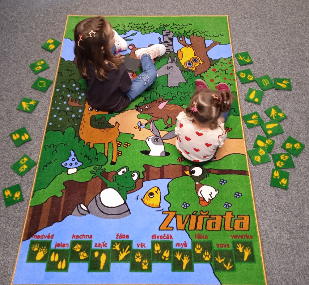 DidaktickeKoberce.cz foto 5