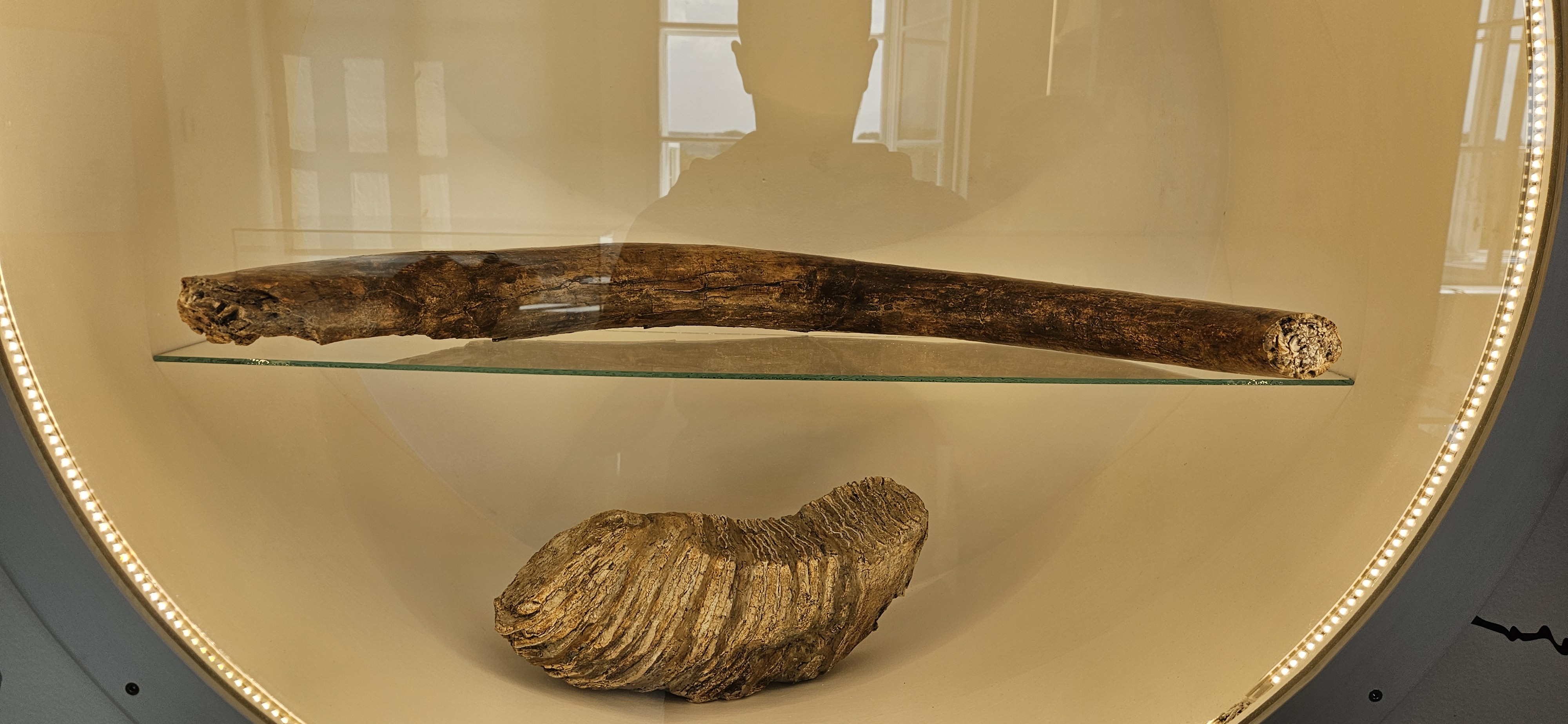 Muzeum Bučovice foto 6