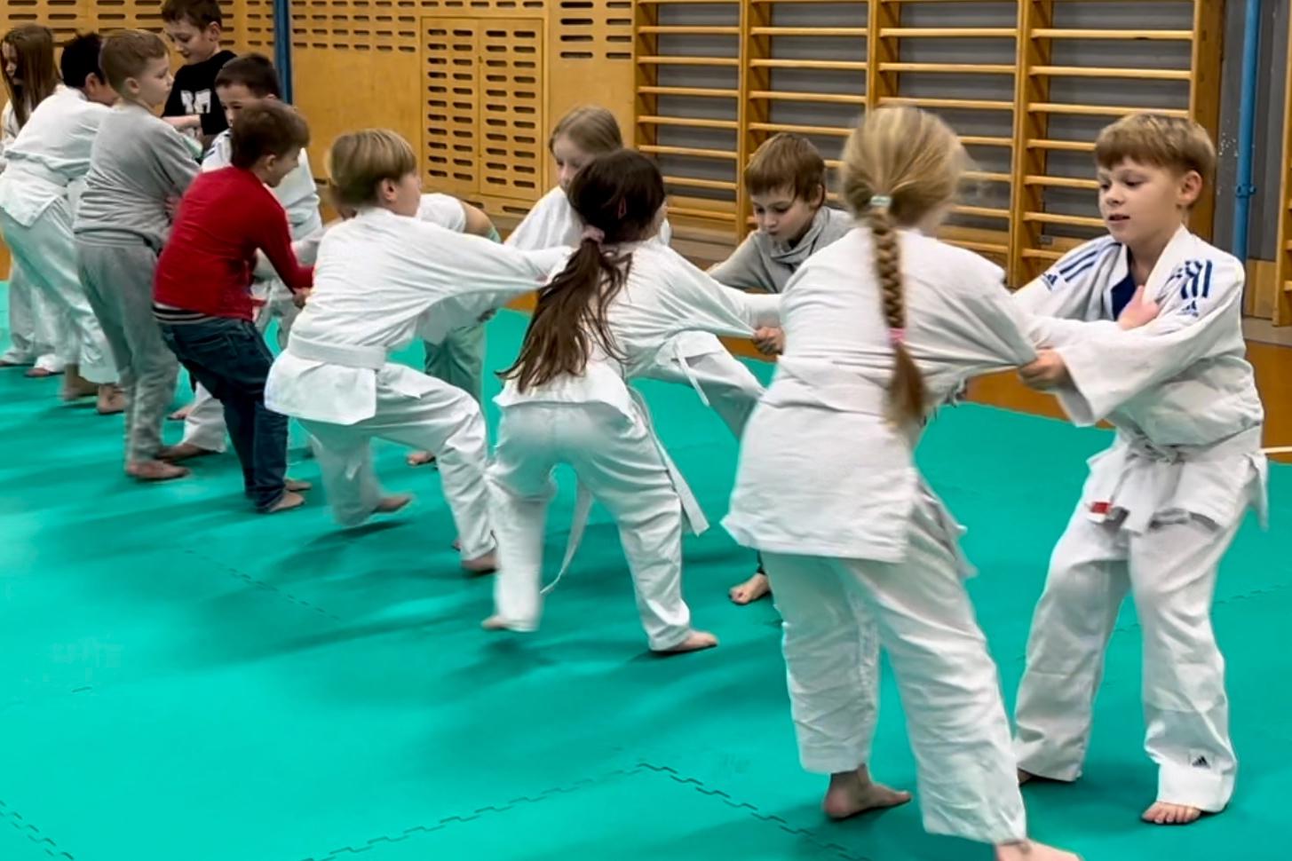 Judo Best Motion