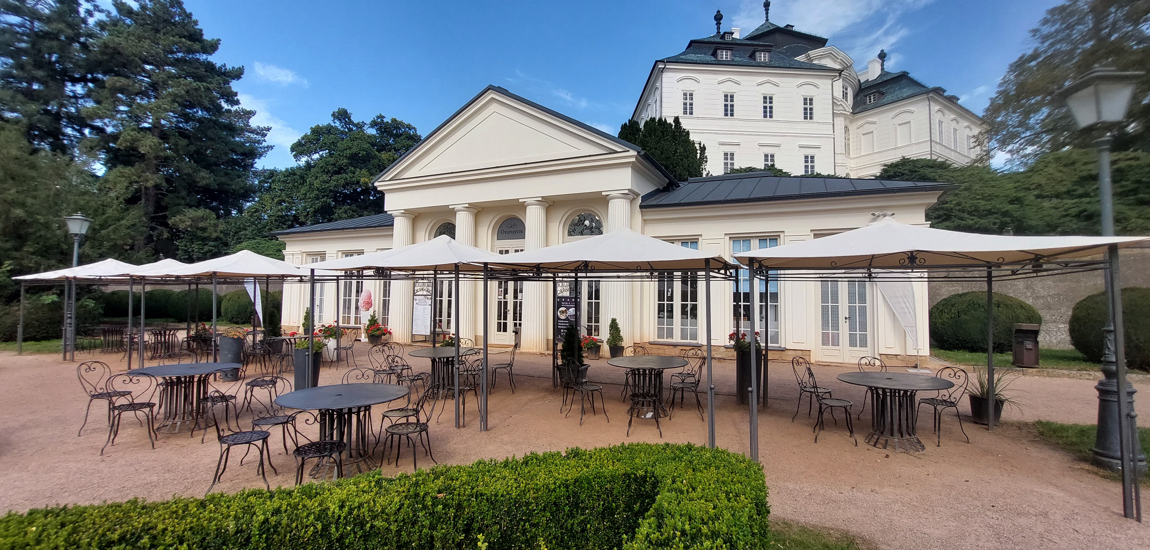 Café Orangerie foto 6