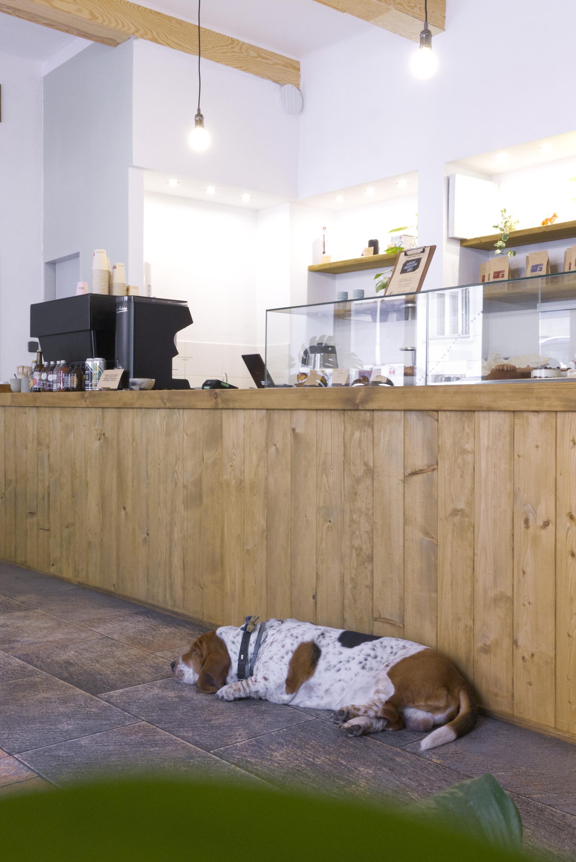 two dots coffee & pastries foto 4