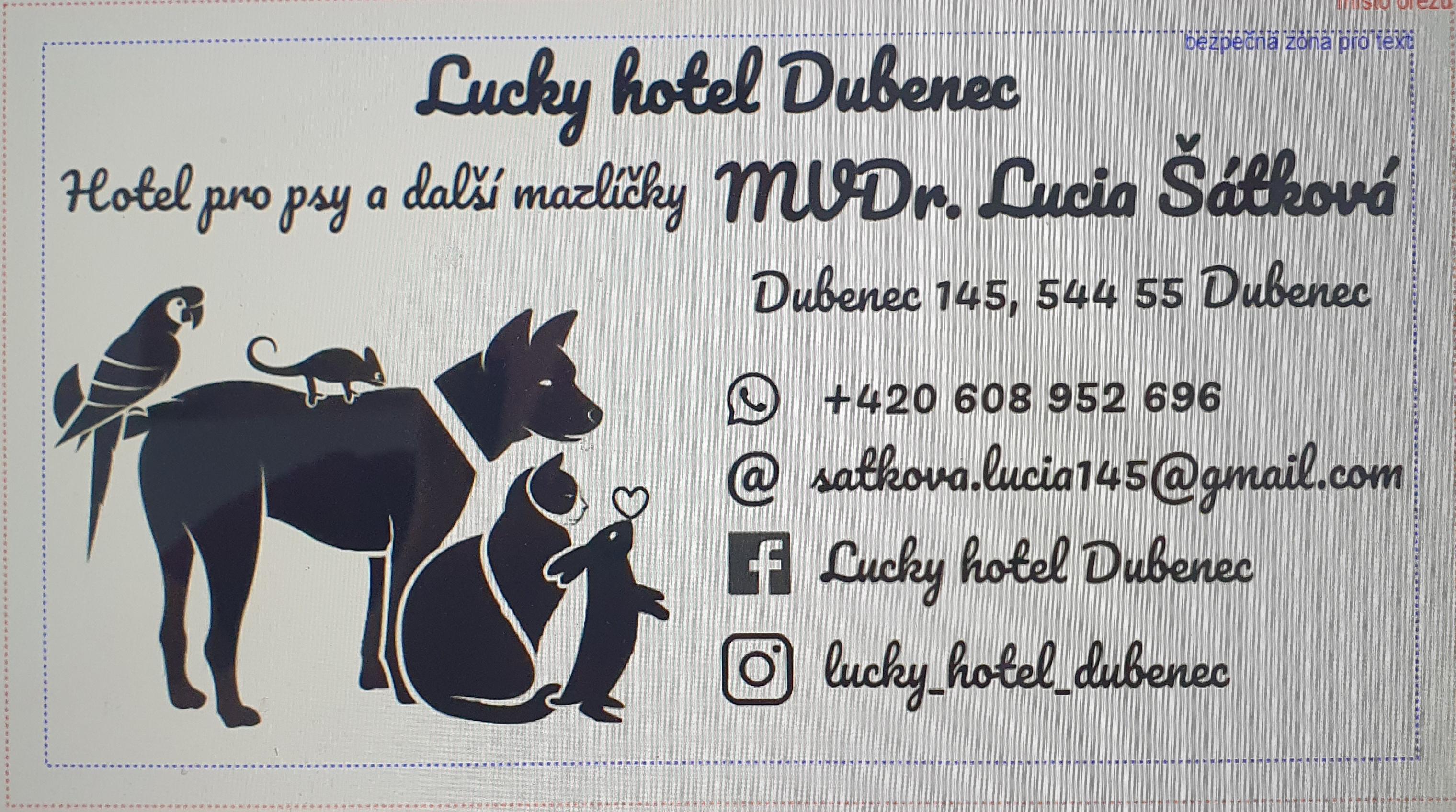 Psí hotel MVDr. Lucia Šátková foto 2