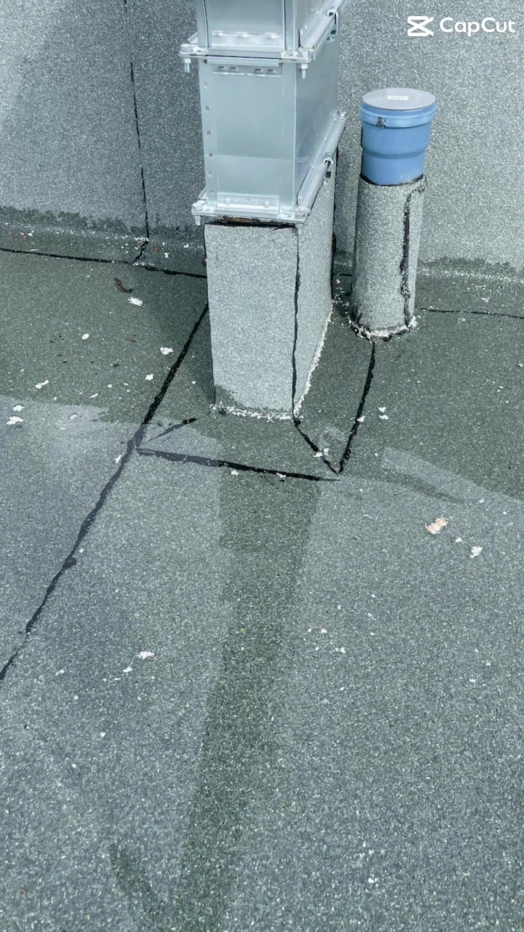 Buga marin foto 2 (náhled videa)