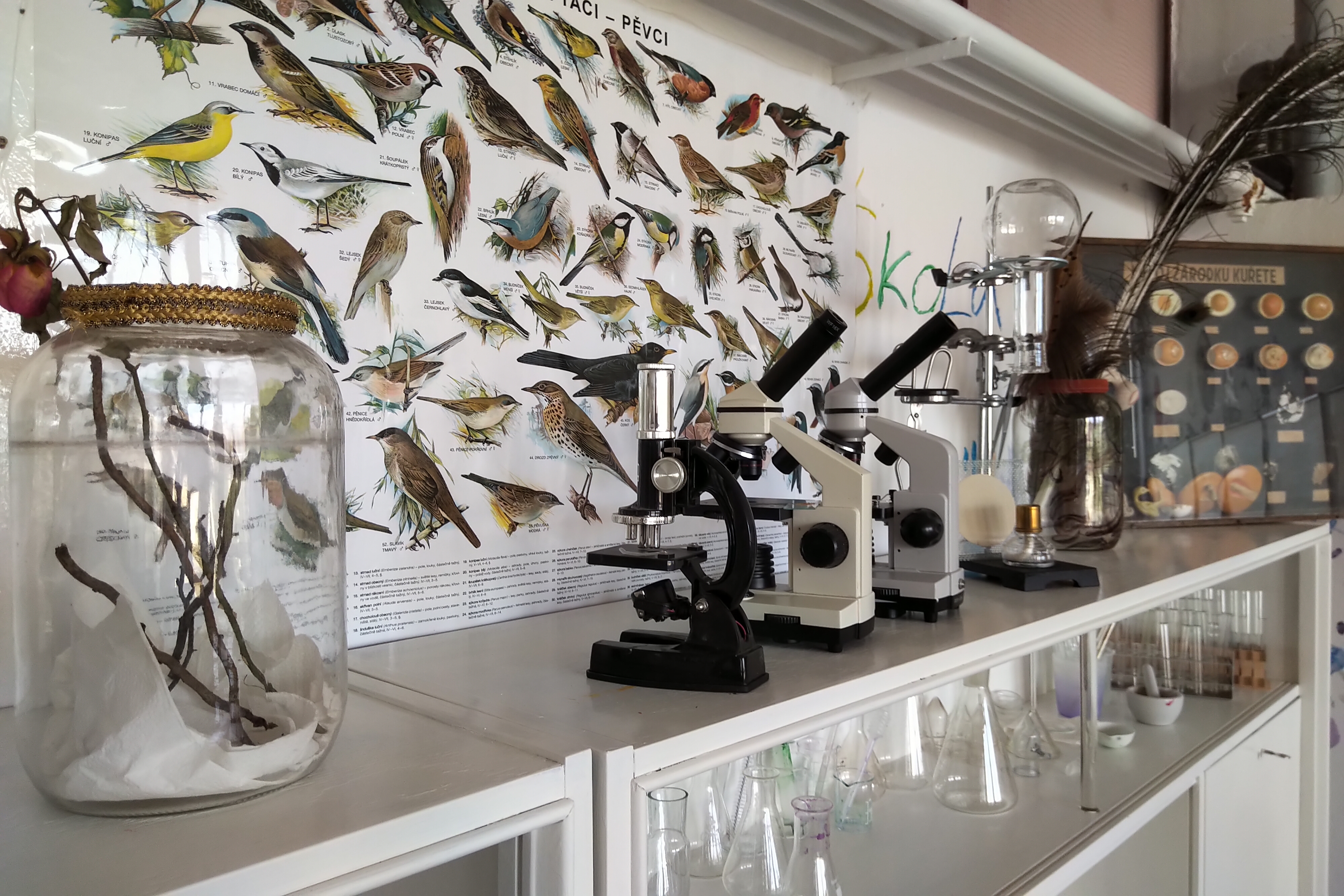 ZeMěŠkola - základní škola foto 3