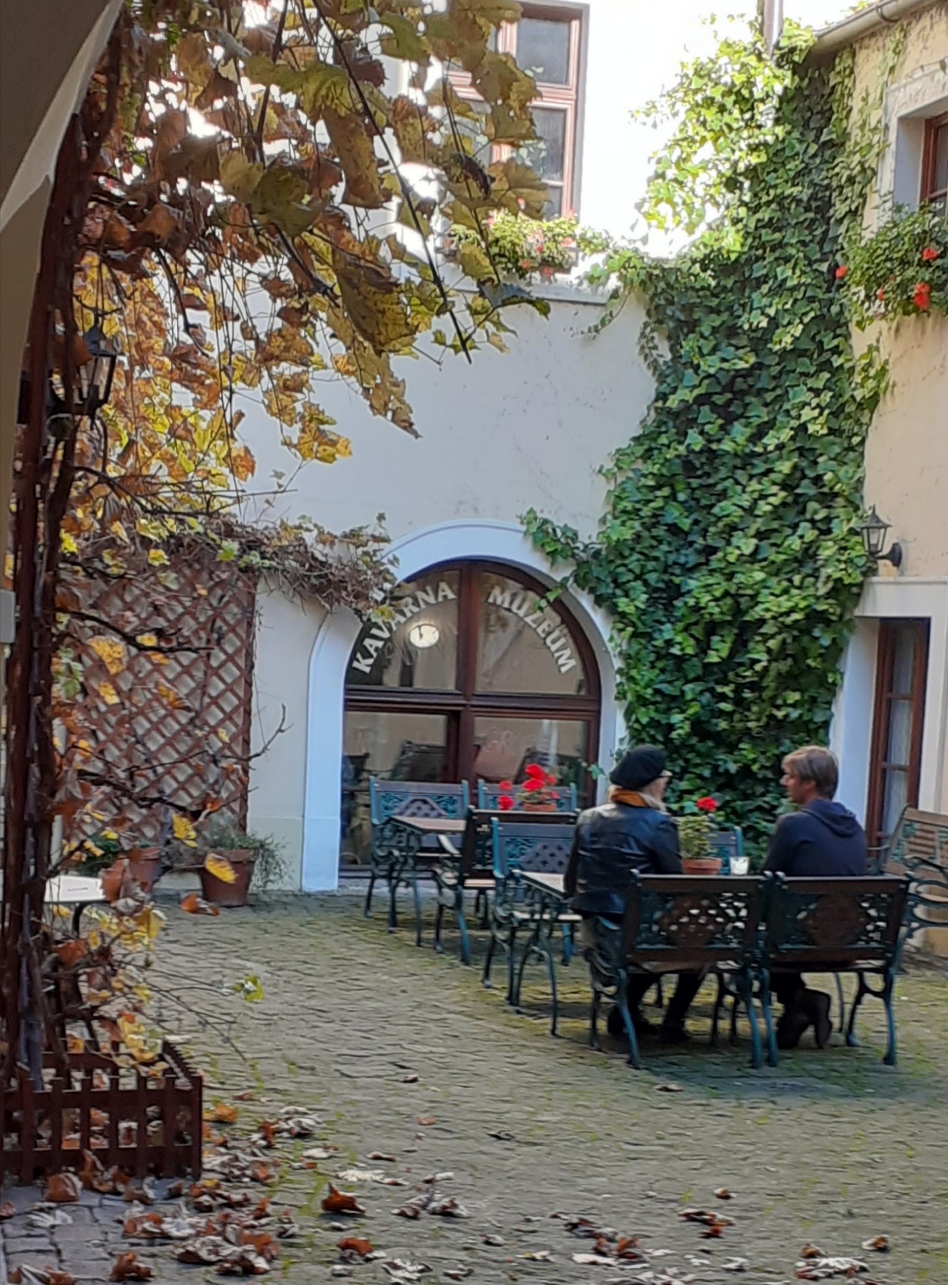 Regionální muzeum Mělník - kavárna foto 3