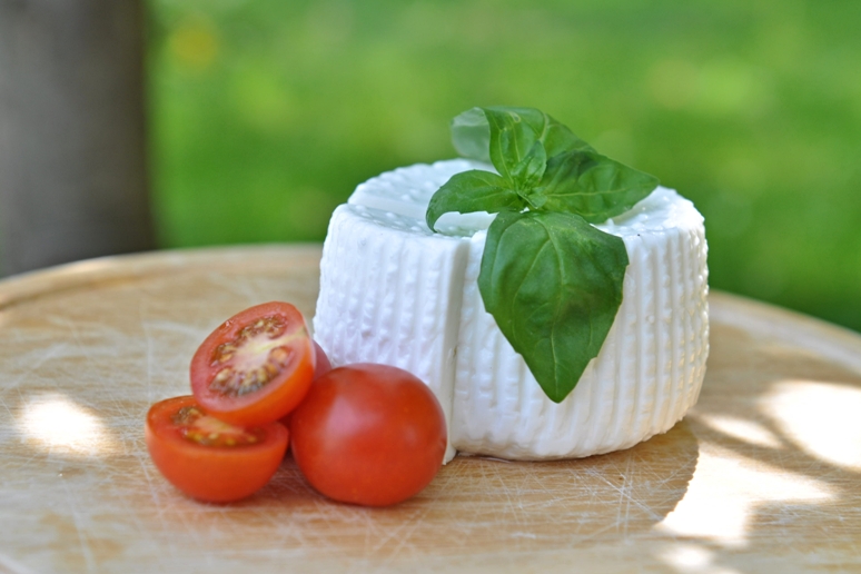 Dvorský statek foto 3