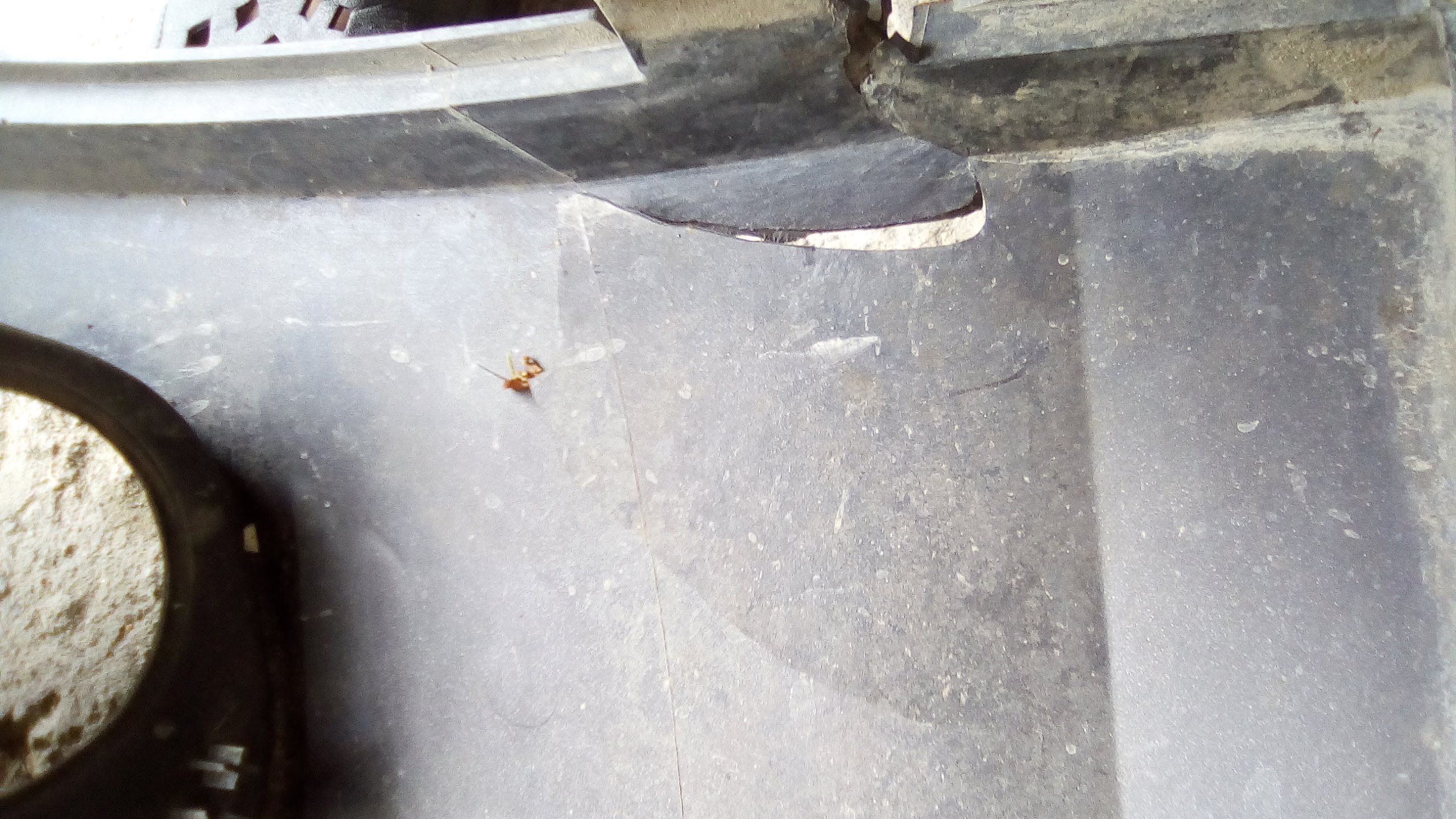 Opravy plastů - Daniel Klein foto 3