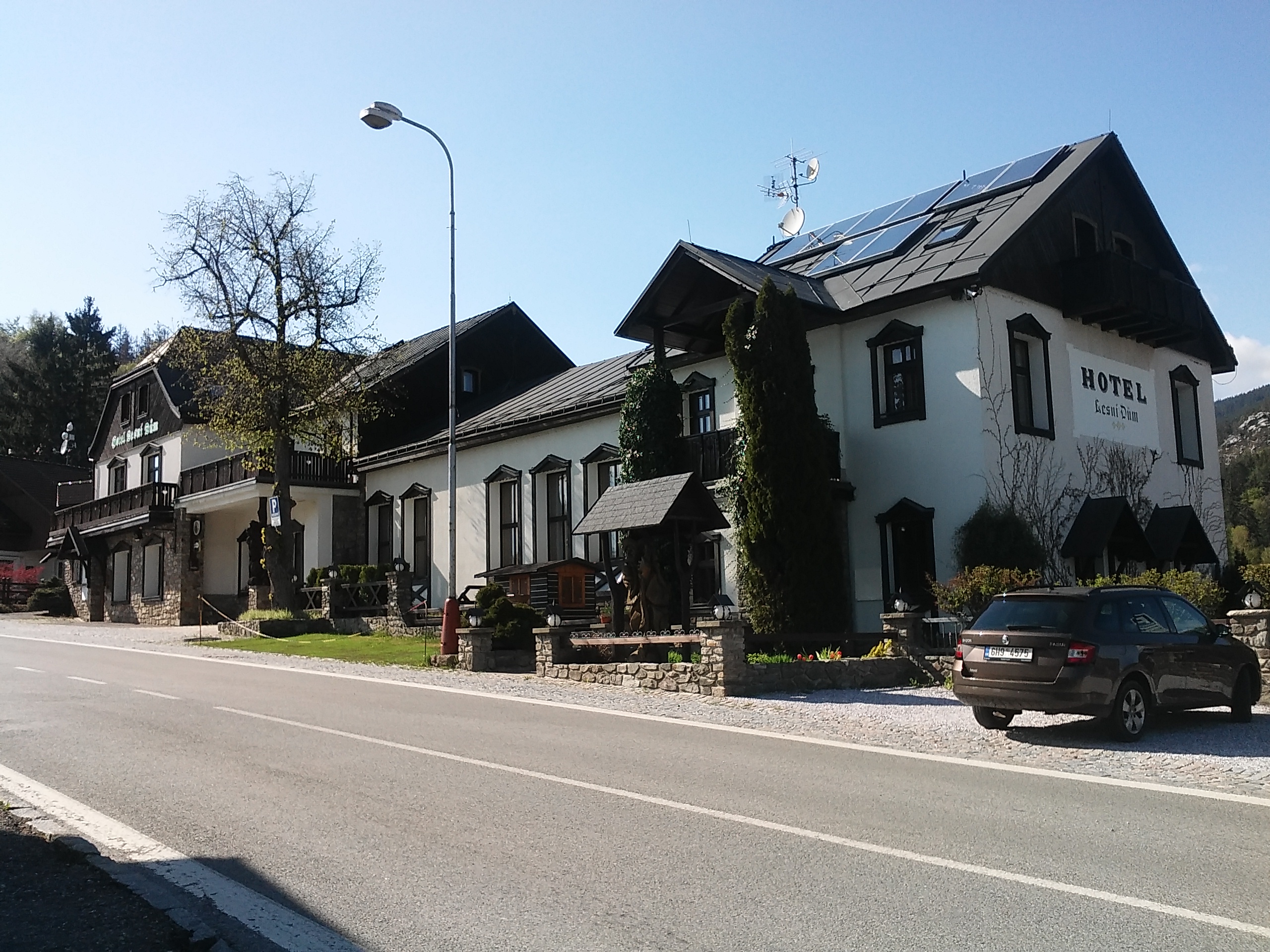 Hotel Lesní dům Janské Lázně foto 5
