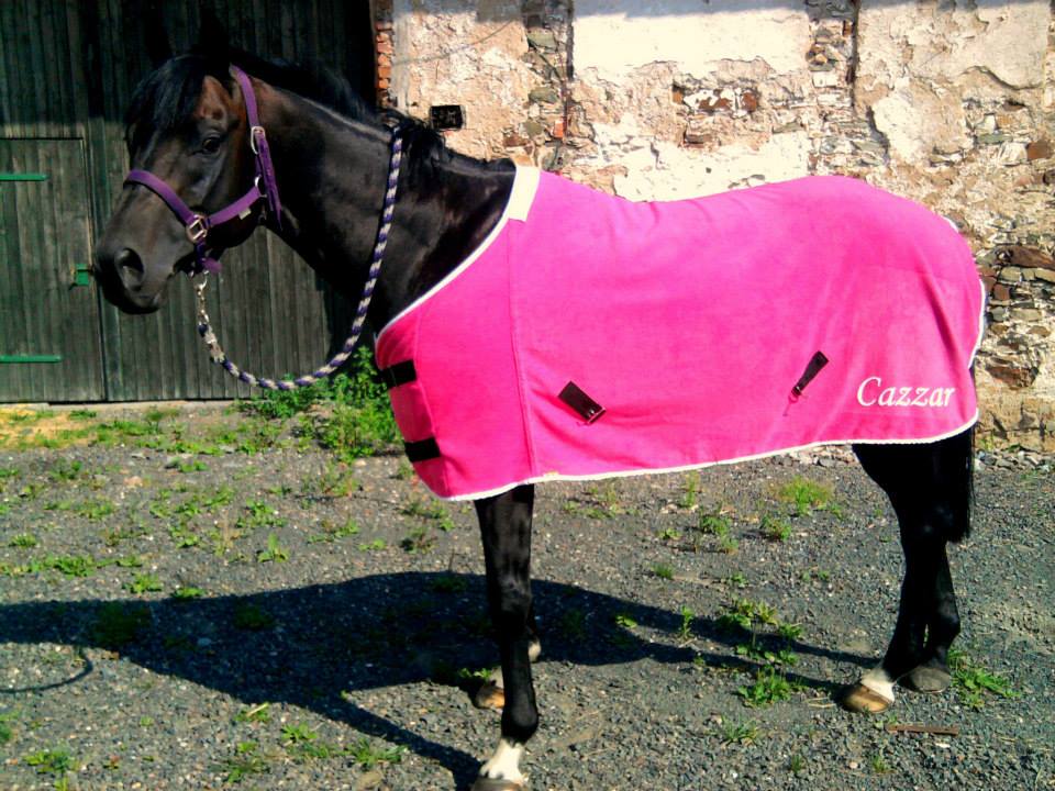 DARETEX, jezdecké potřeby foto 4