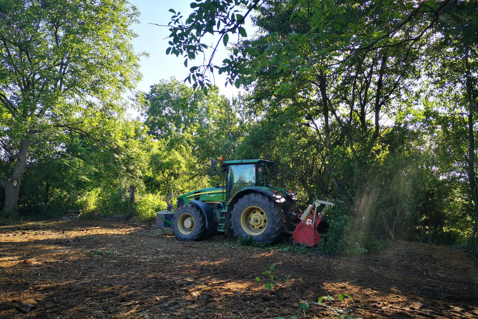 Údržba zeleně a rekultivace Steiner