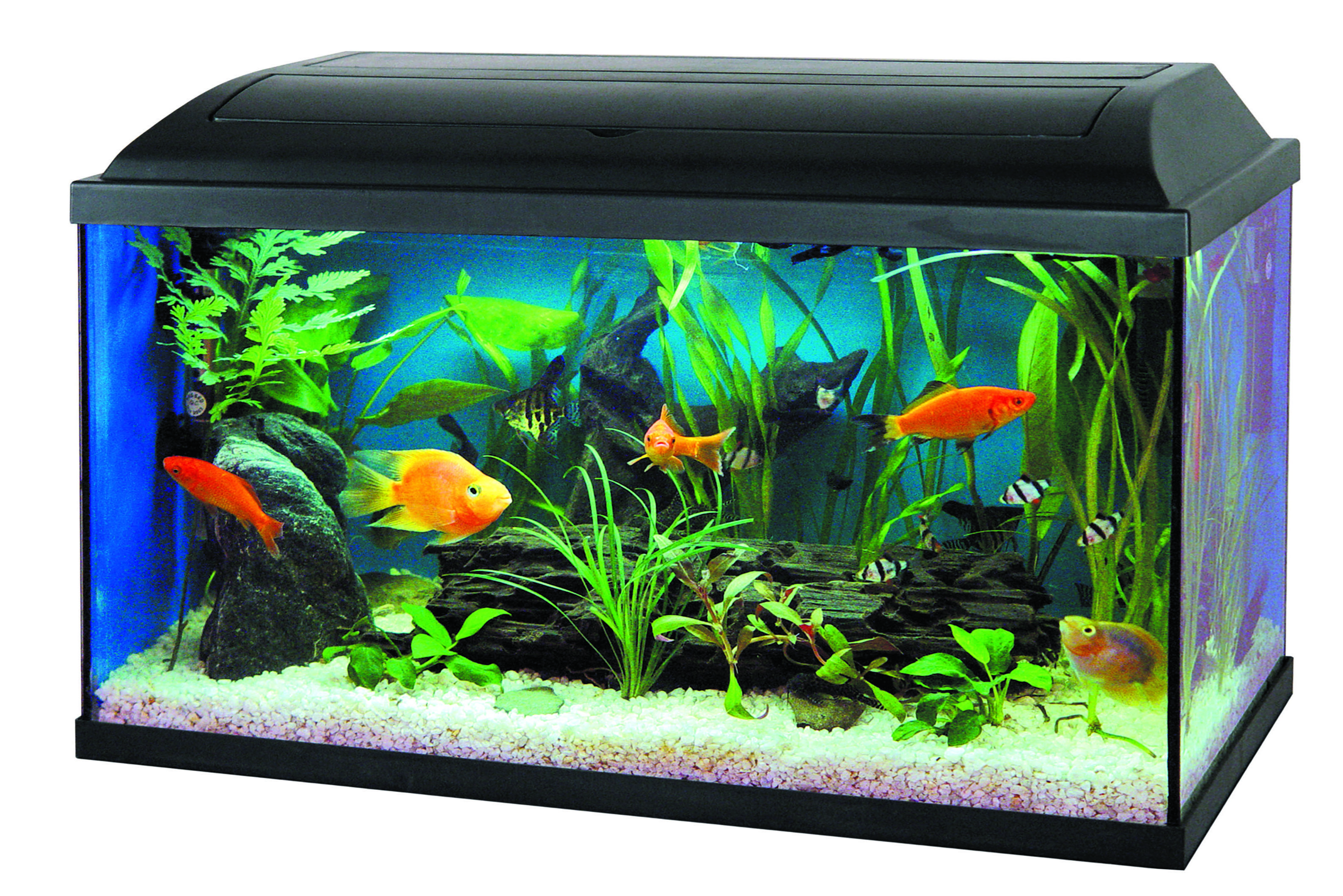 Akvárium set PACIFIC s výbavou za 1.399, -