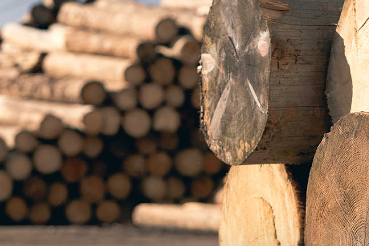 BIOMAC - EKOPALIVO BOHEMIA foto 2