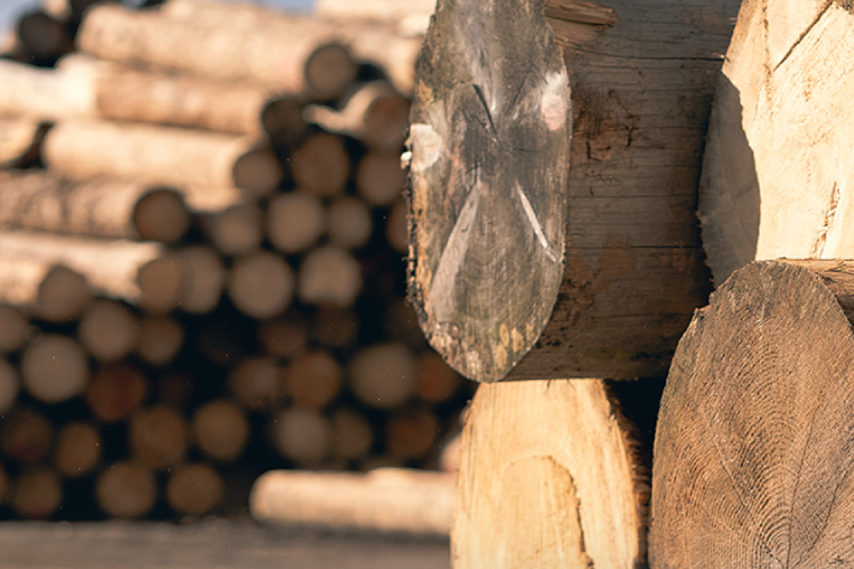 BIOMAC s.r.o. foto 2