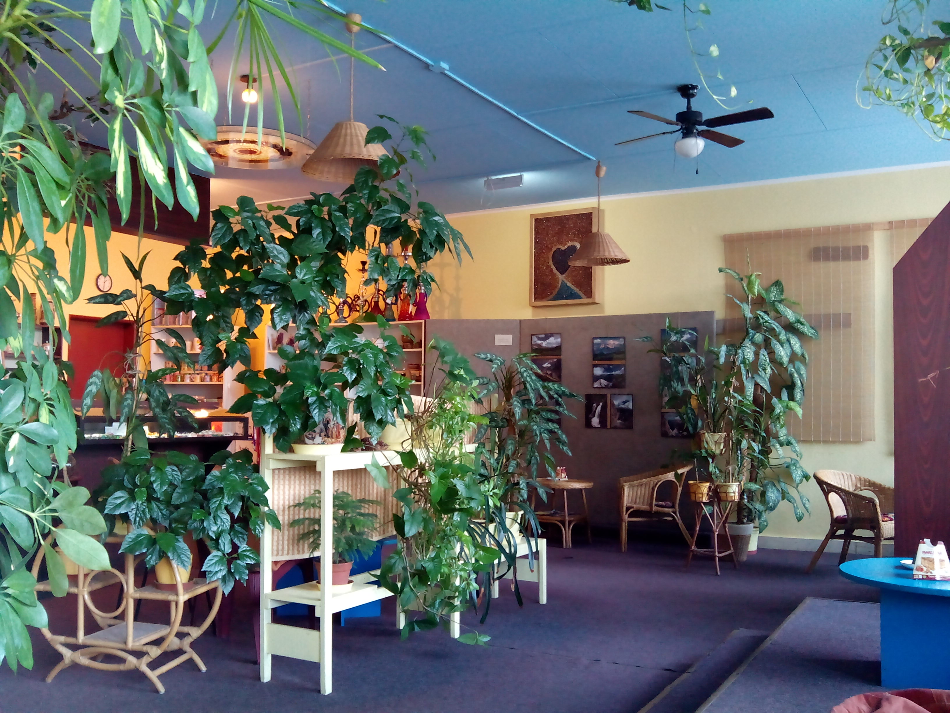 Čajovna a kavárna u Modrého safíru foto 4