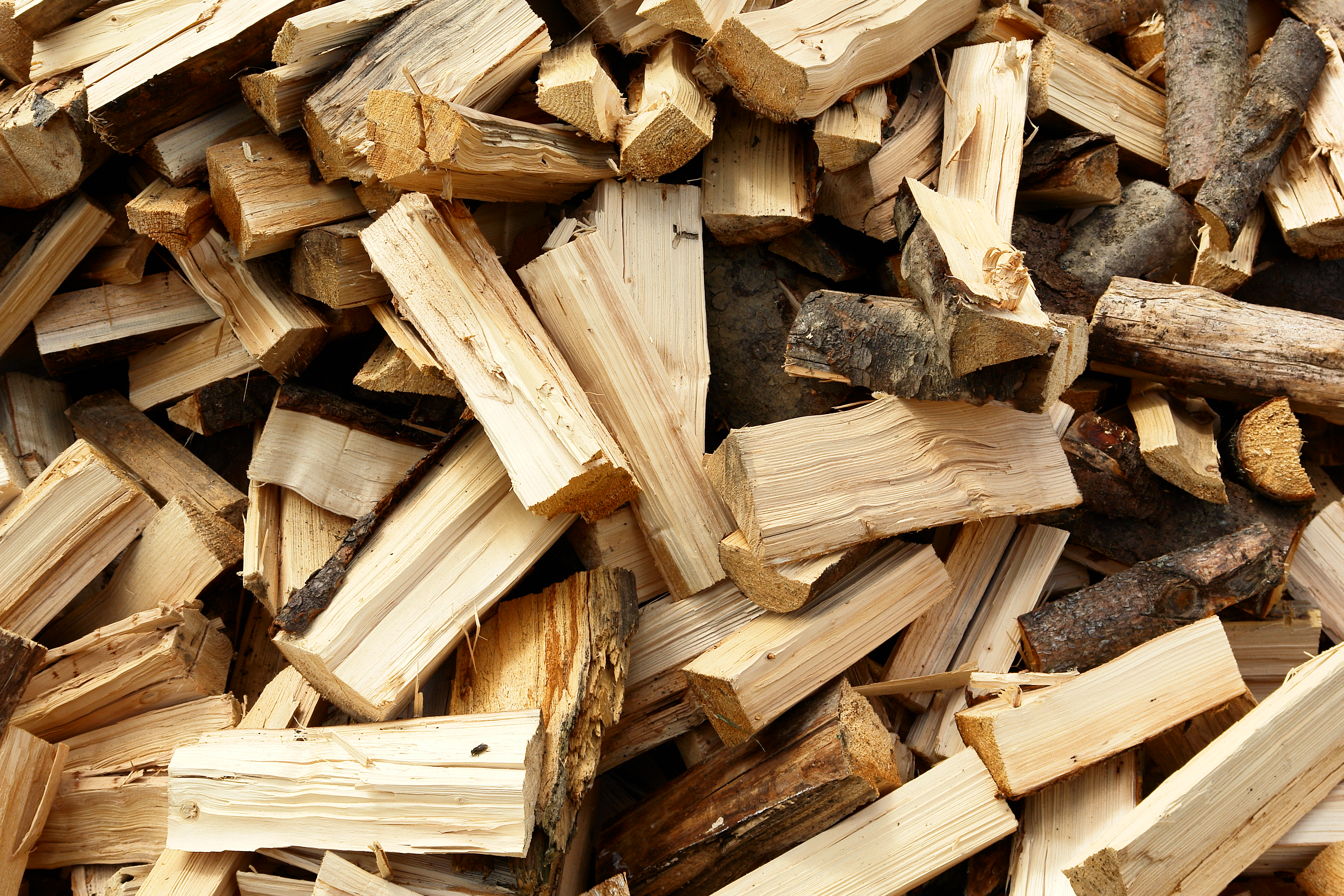 Palivové dřevo Morava - Slezsko, Házerová, s. r. o. foto 3