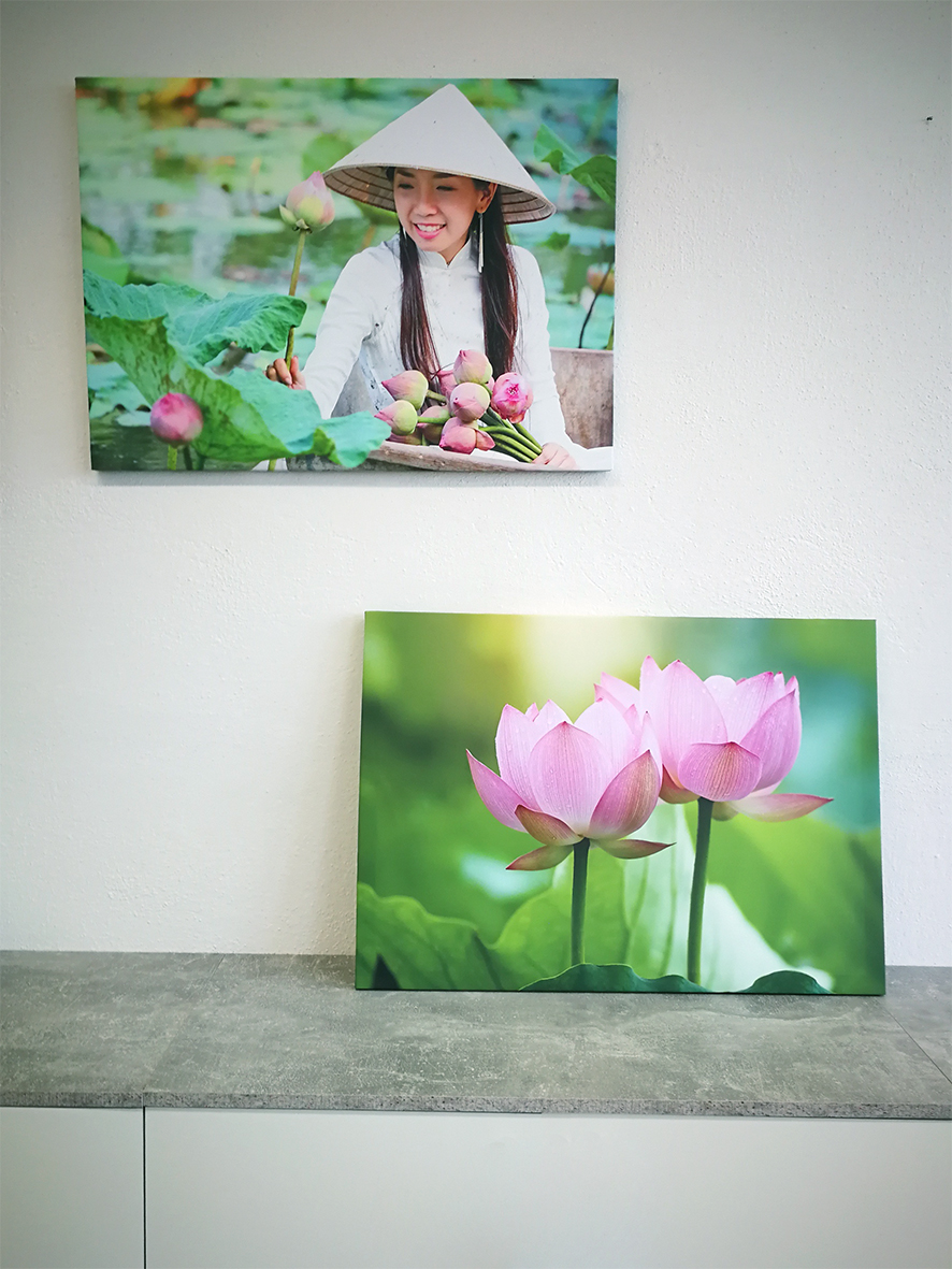 Jiří Pýcha - reklamní a grafické studio foto 2