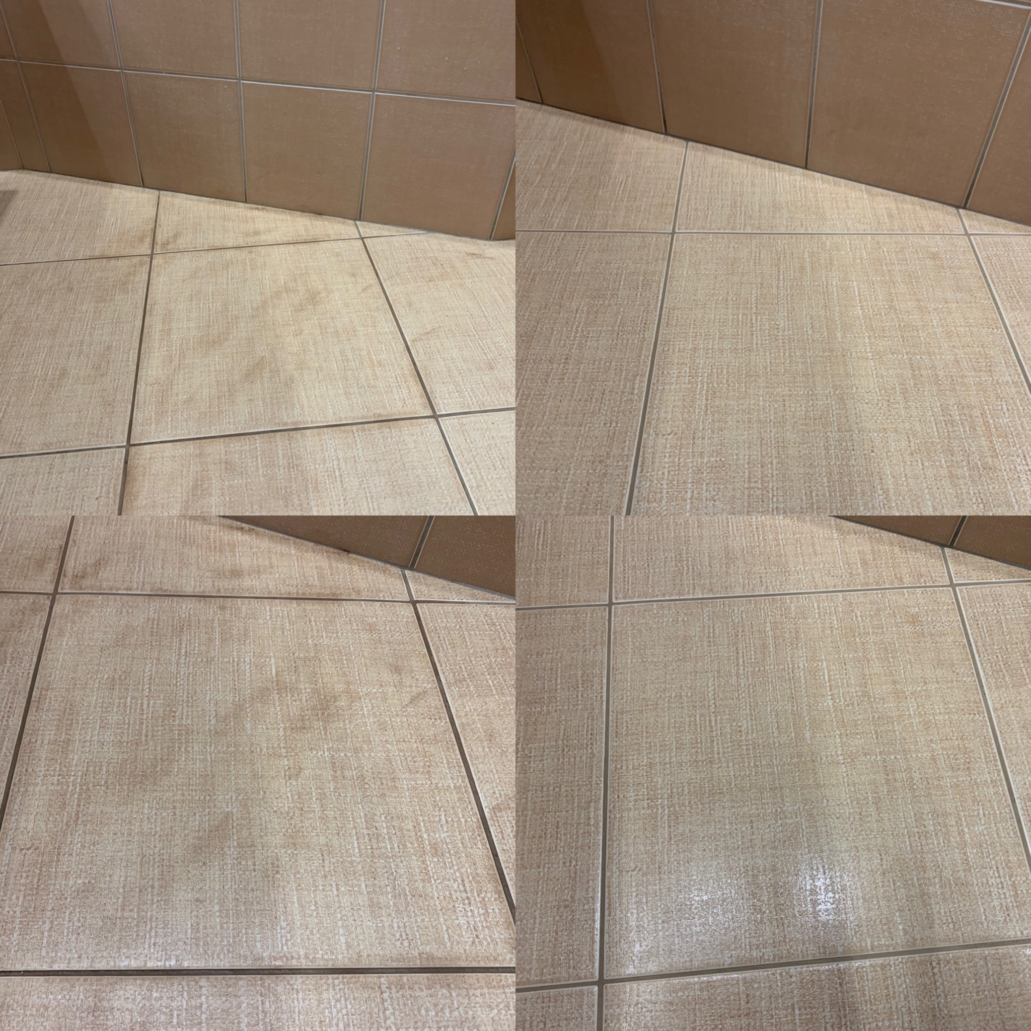 ToGo Úklidové služby foto 3