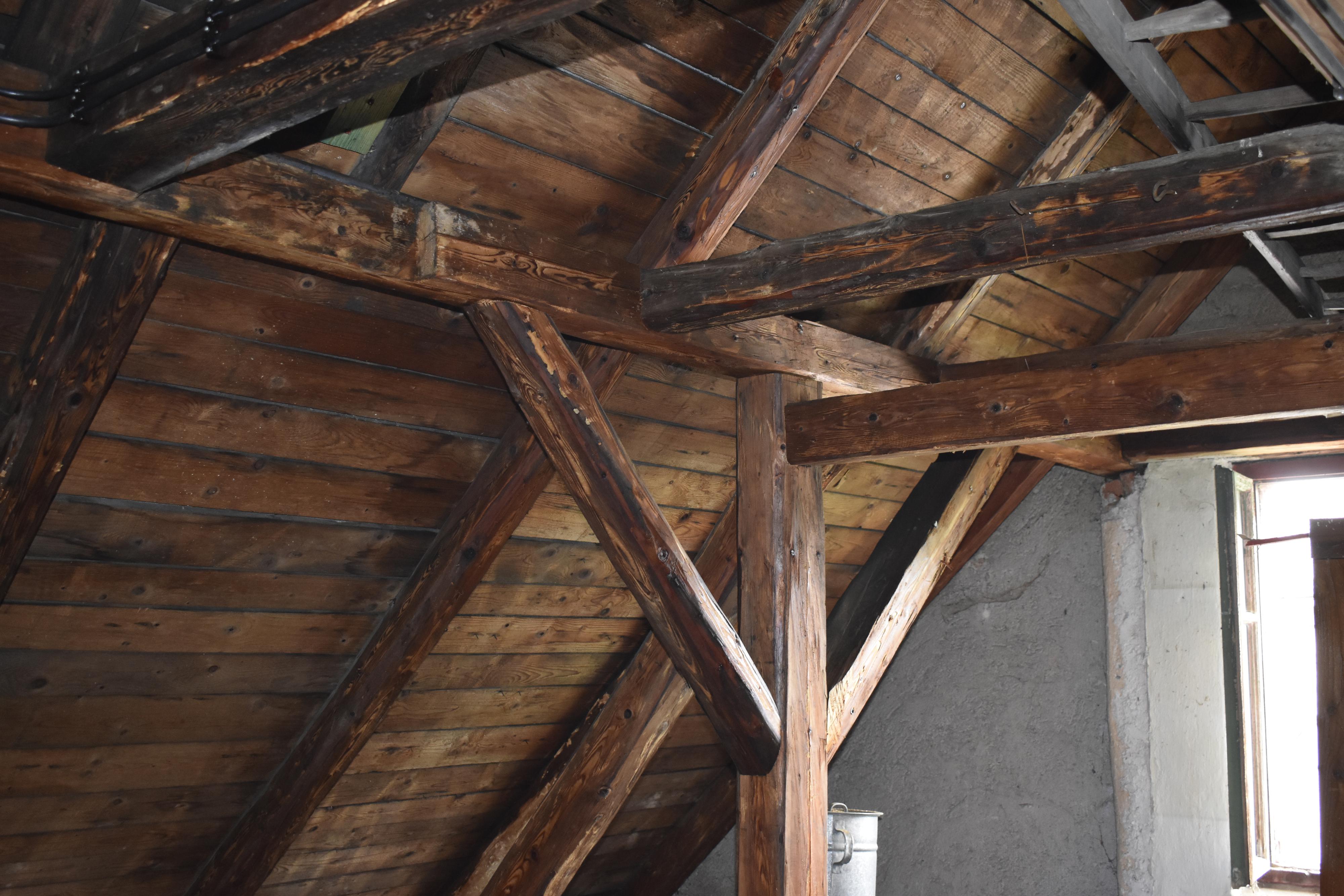 Hylák - ošetření dřeva s.r.o. foto 3