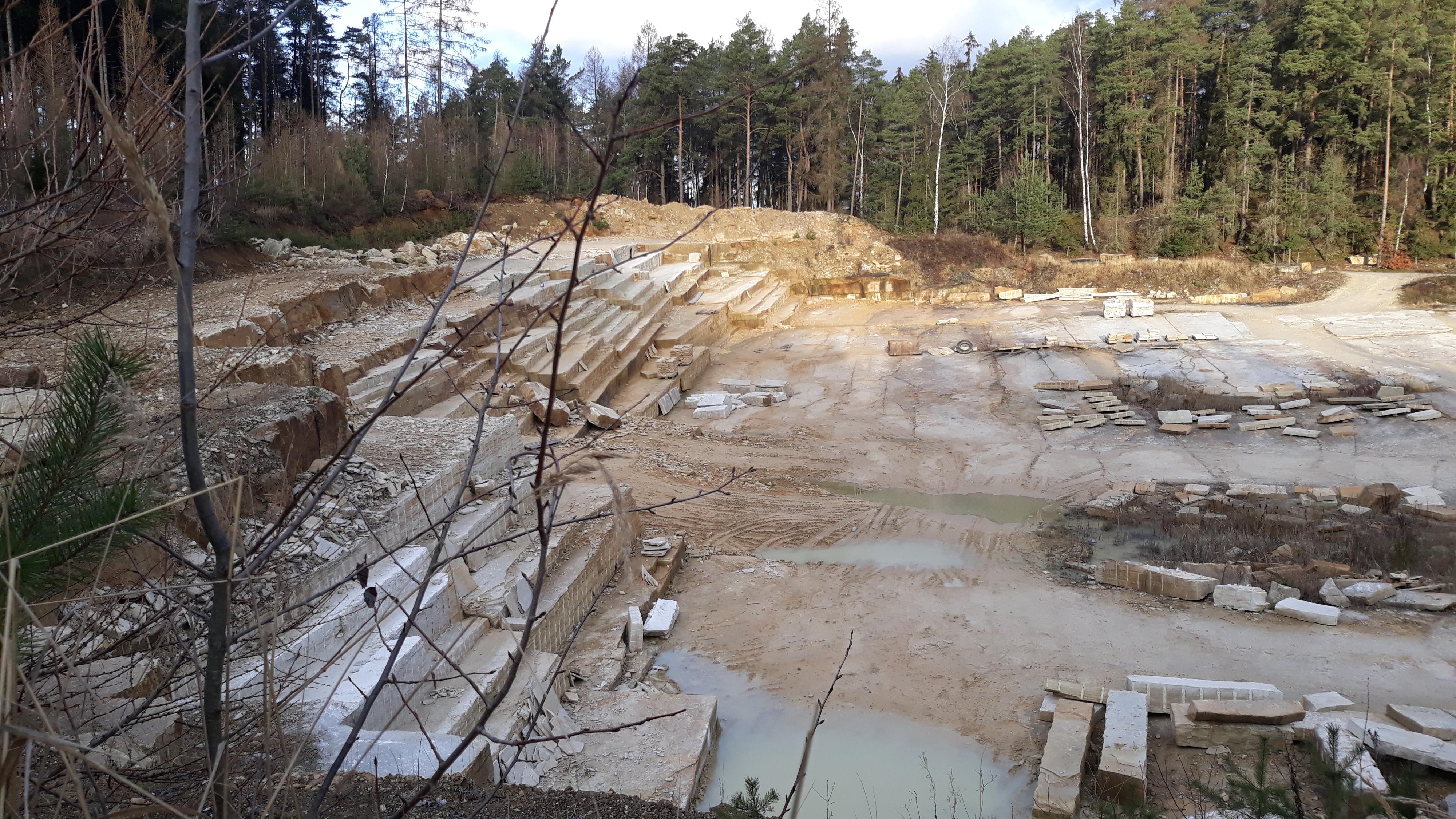 Krákorka pískovec foto 2