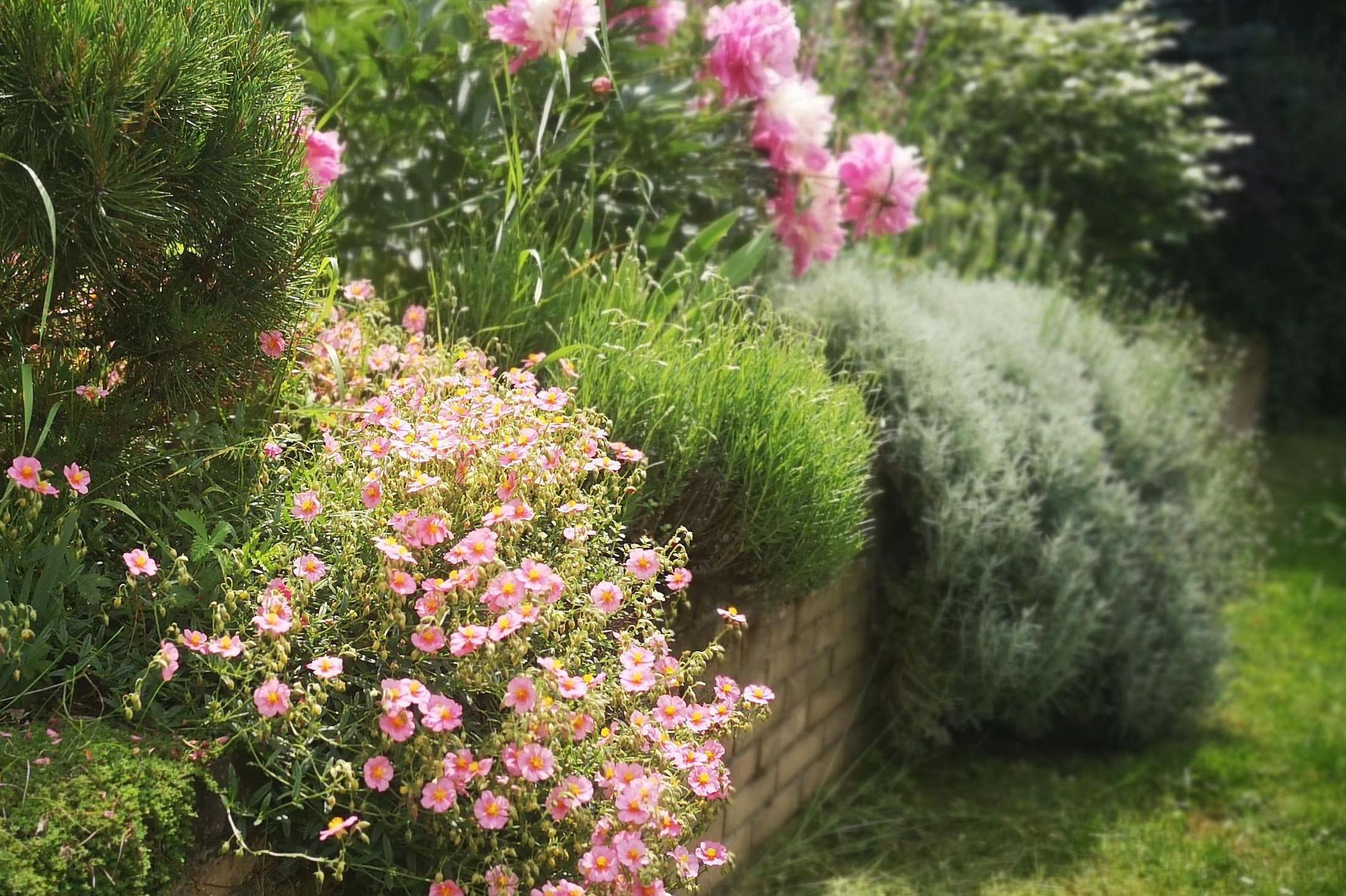 FLOWERS-GARDENS ateliér