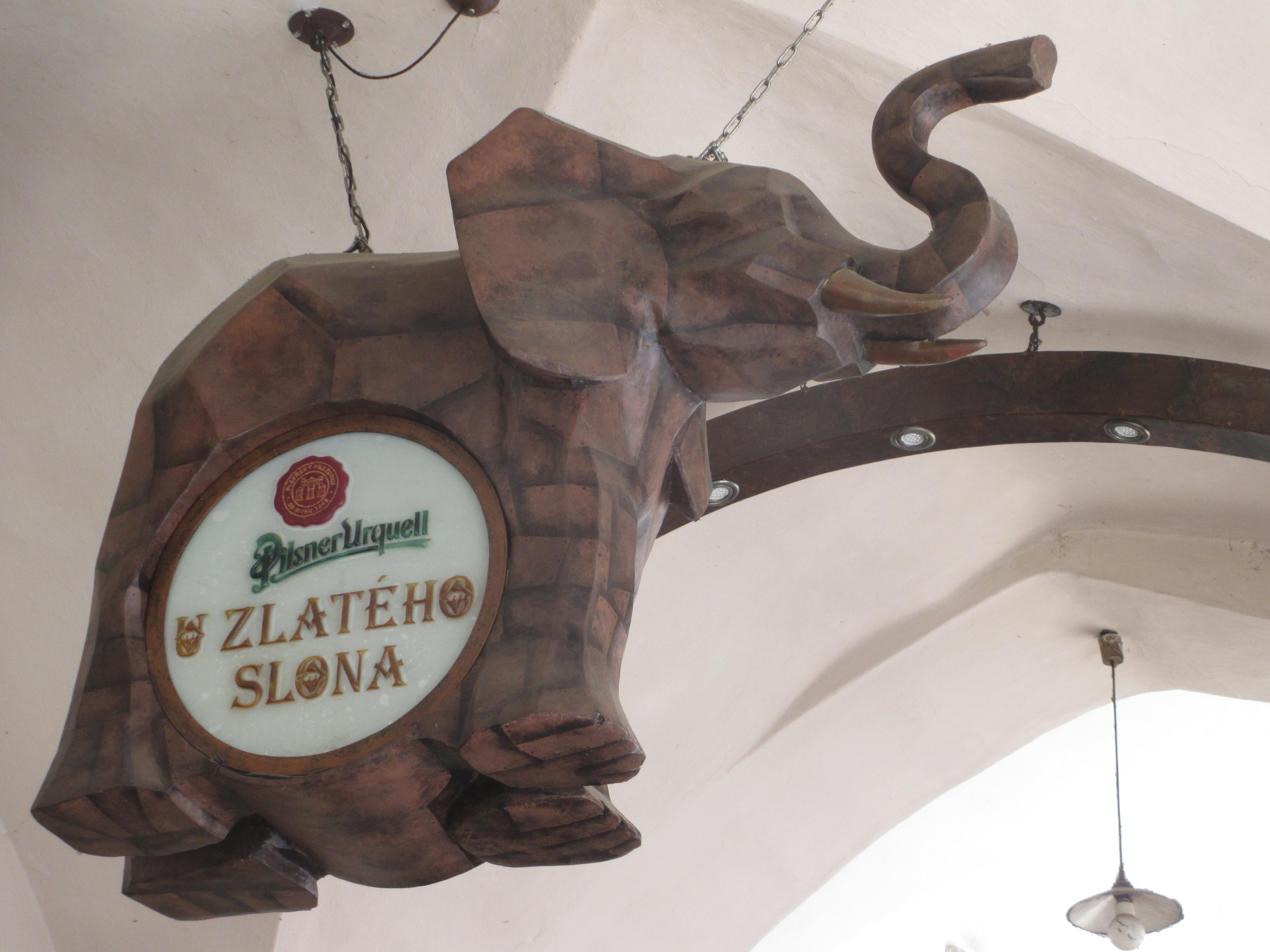 Pivnice U Zlatého slona foto 2