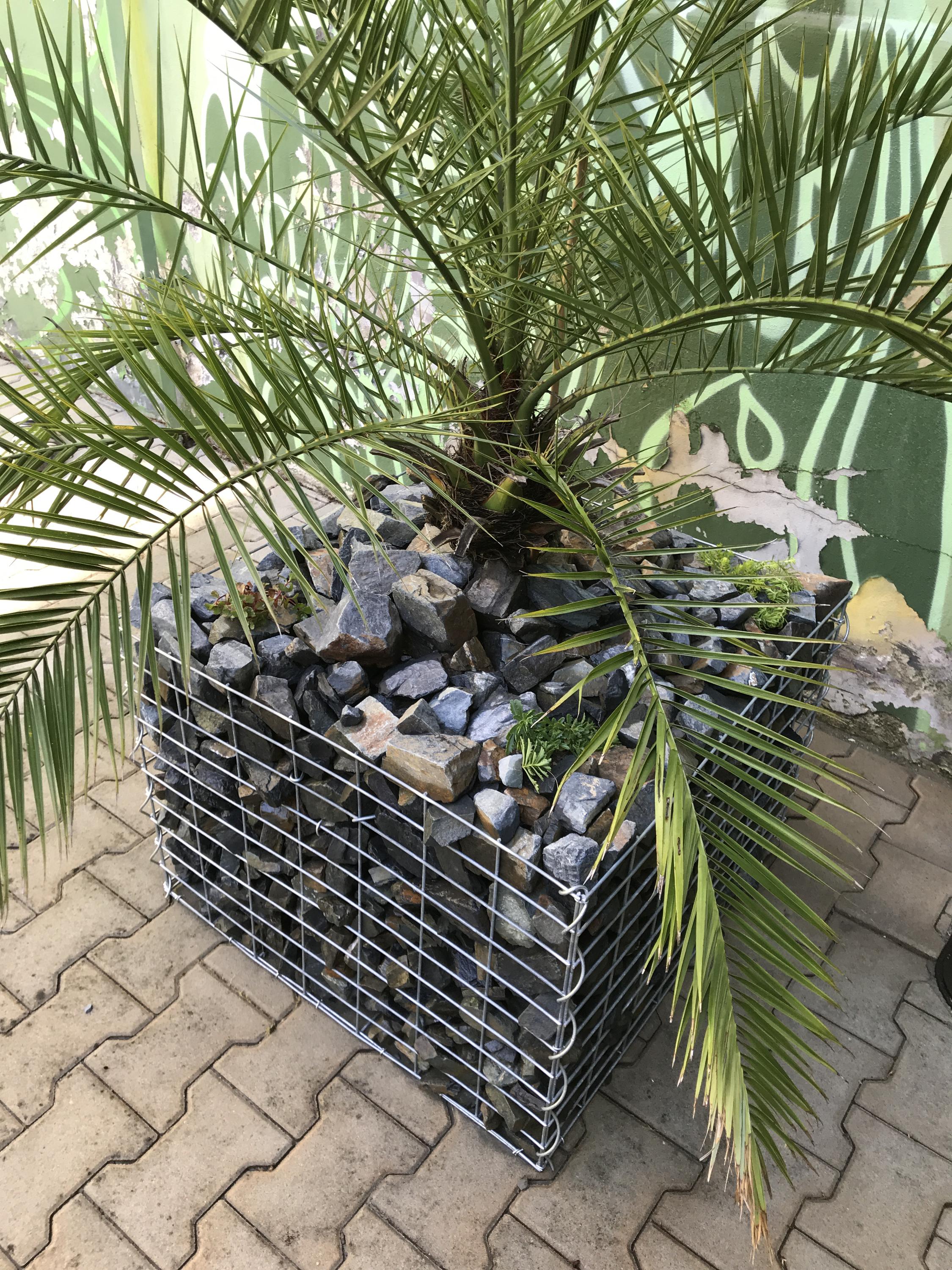 Zahrady  Wojcik foto 2