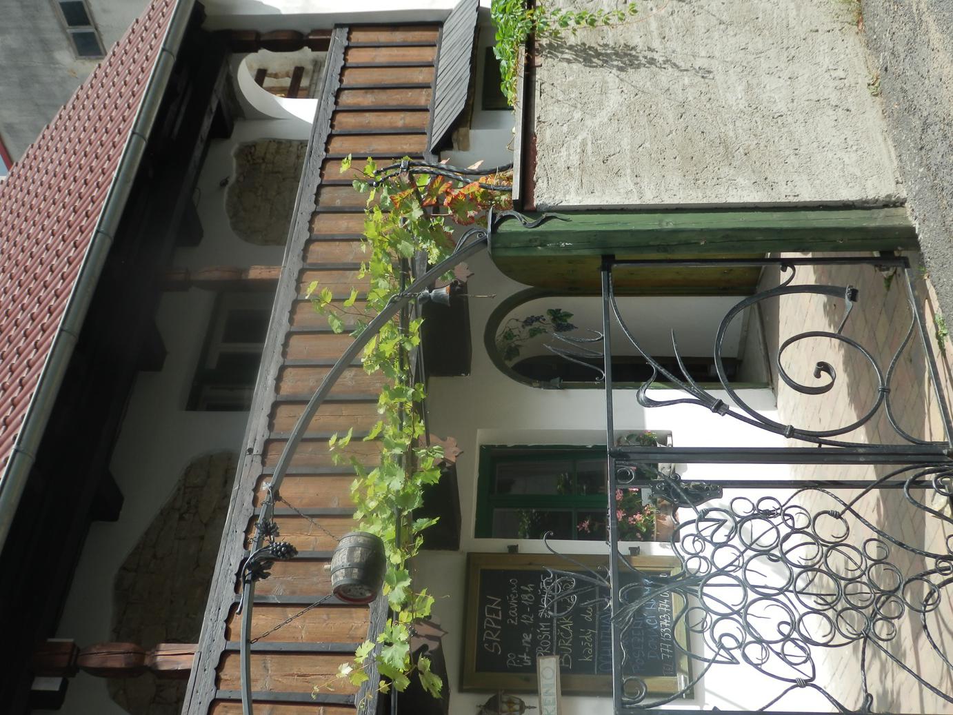 Rodinné vinařství Mikulenkovi foto 2