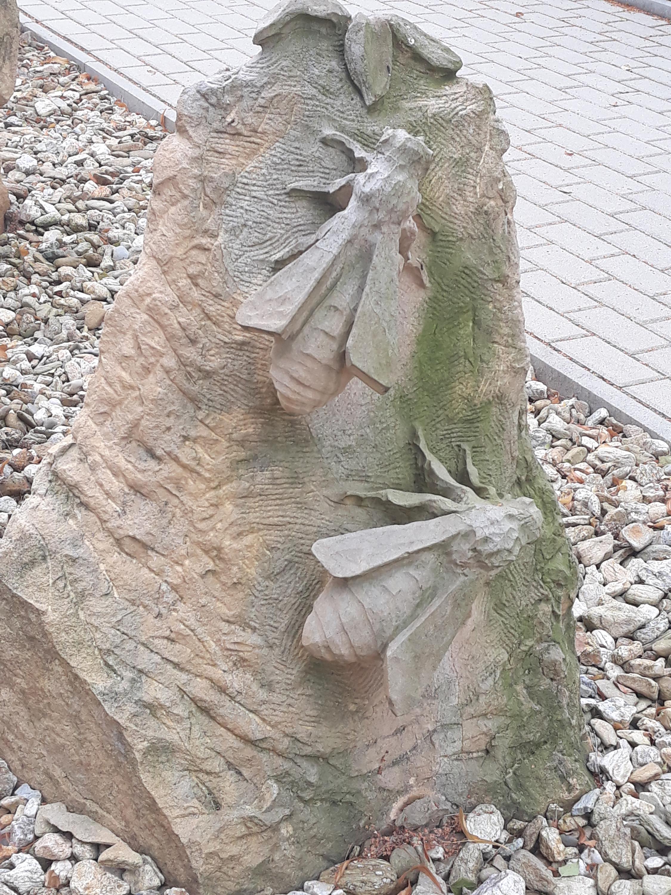 Základní škola Svor, příspěvková organizace foto 2