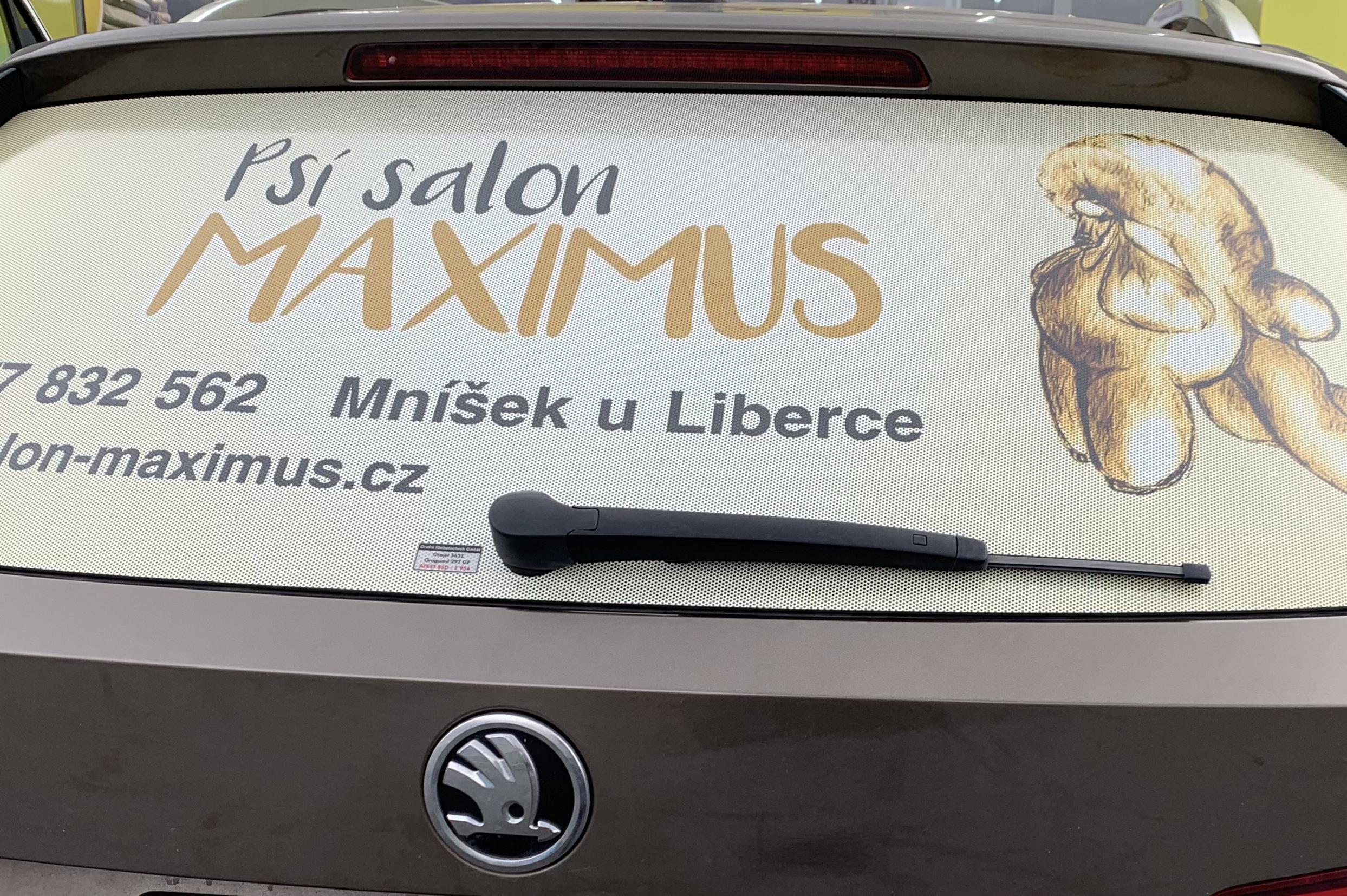 MAXIMUS - stříhání psů - Petra Vyhlídková foto 1