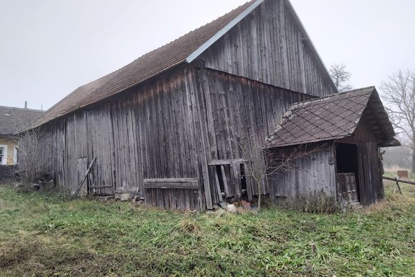 Výkup Ořechového Dřeva Brno (ořechového dřeva, dřeva Brně) Výkup Ořechového Dřeva Brno