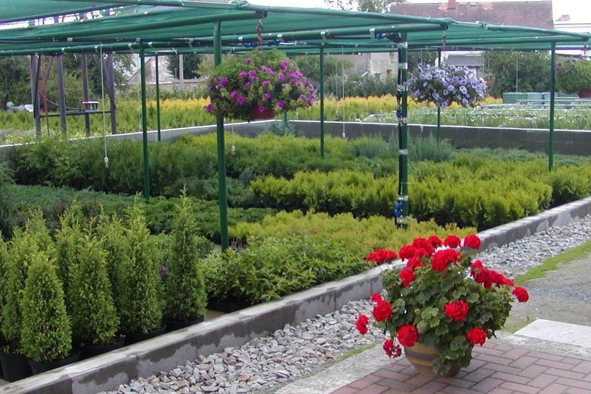 Zahradnictví Jiří Jura Javorník