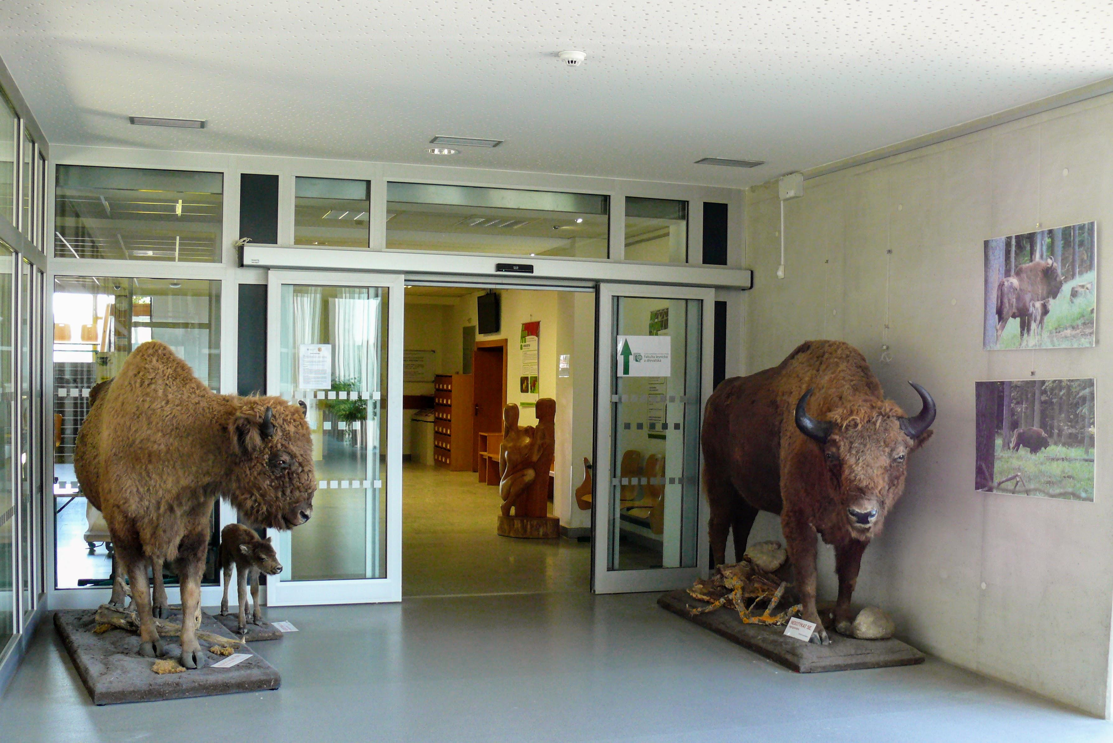 ČZU - Fakulta životního prostředí foto 2