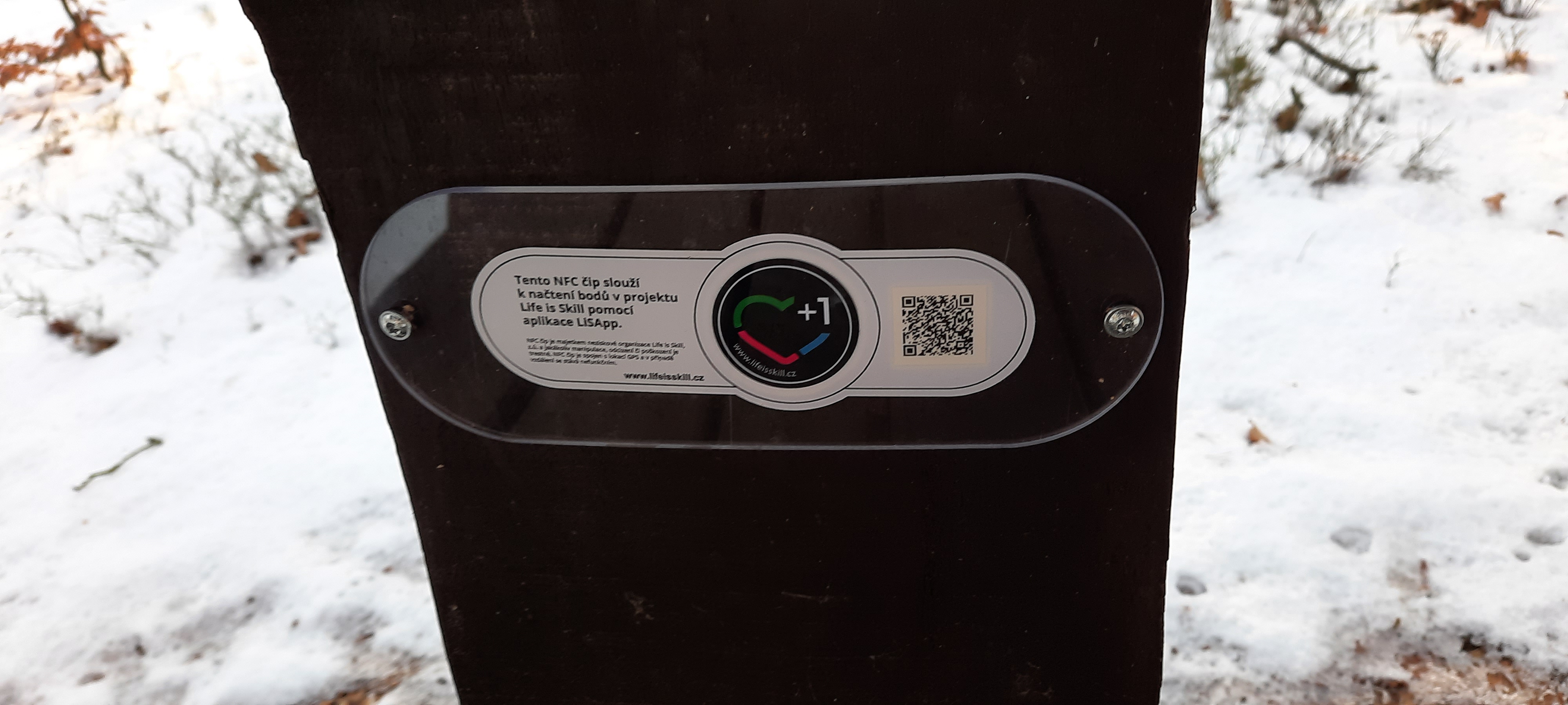 Life is skill, z. ú. foto 2