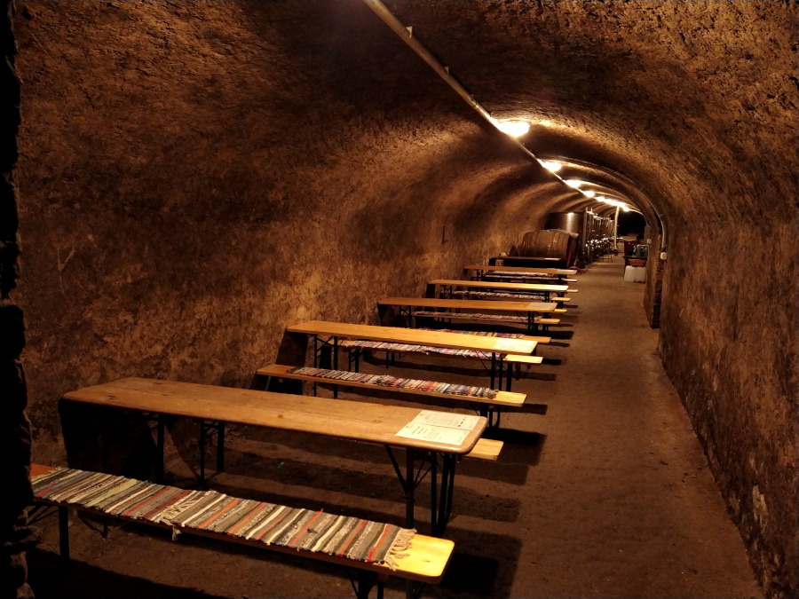 Eshop Vinařství Sv.Tomáše Malé Žernoseky foto 3