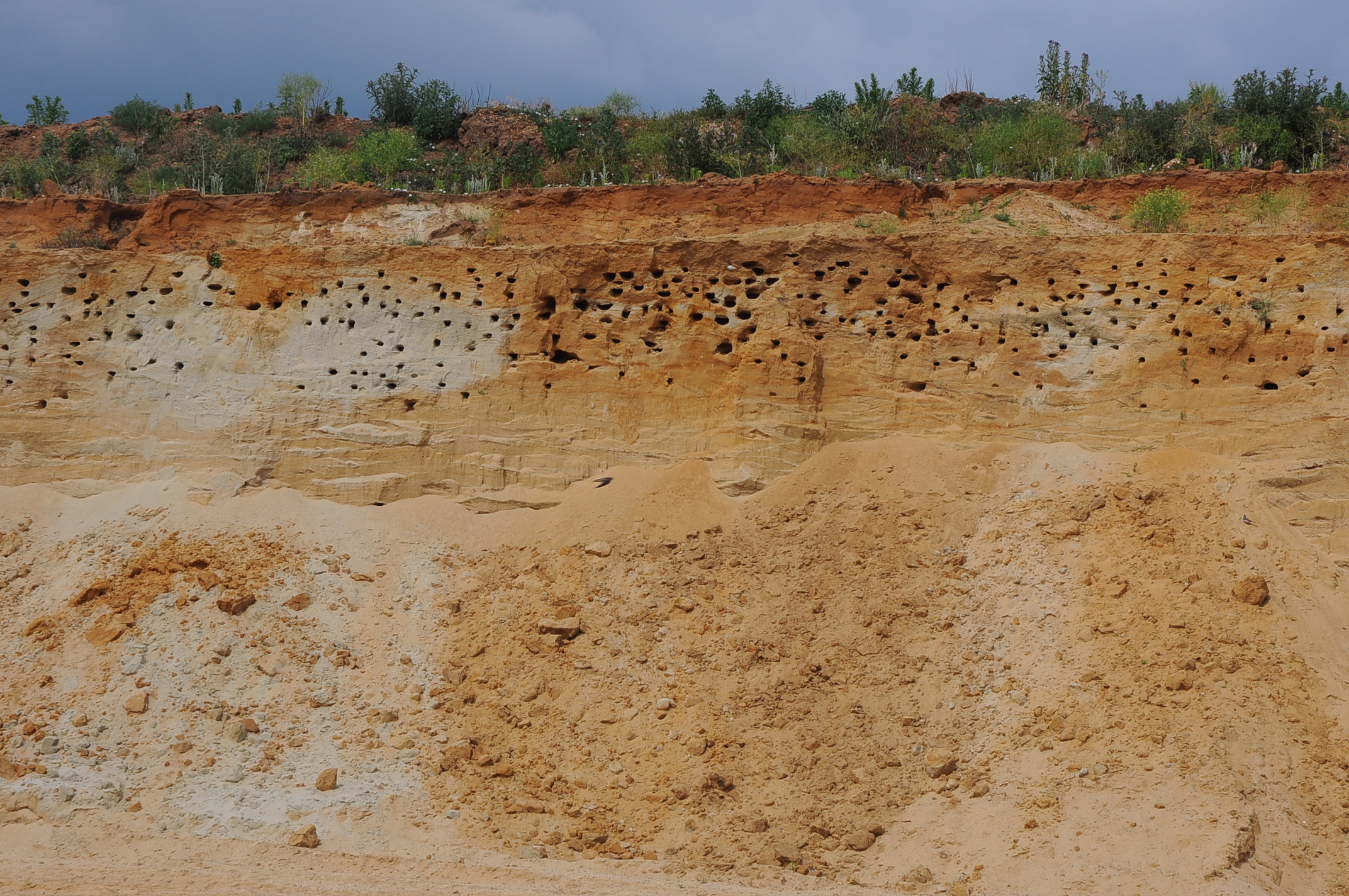 Heidelberg Materials CZ - Pískovna Božice foto 2