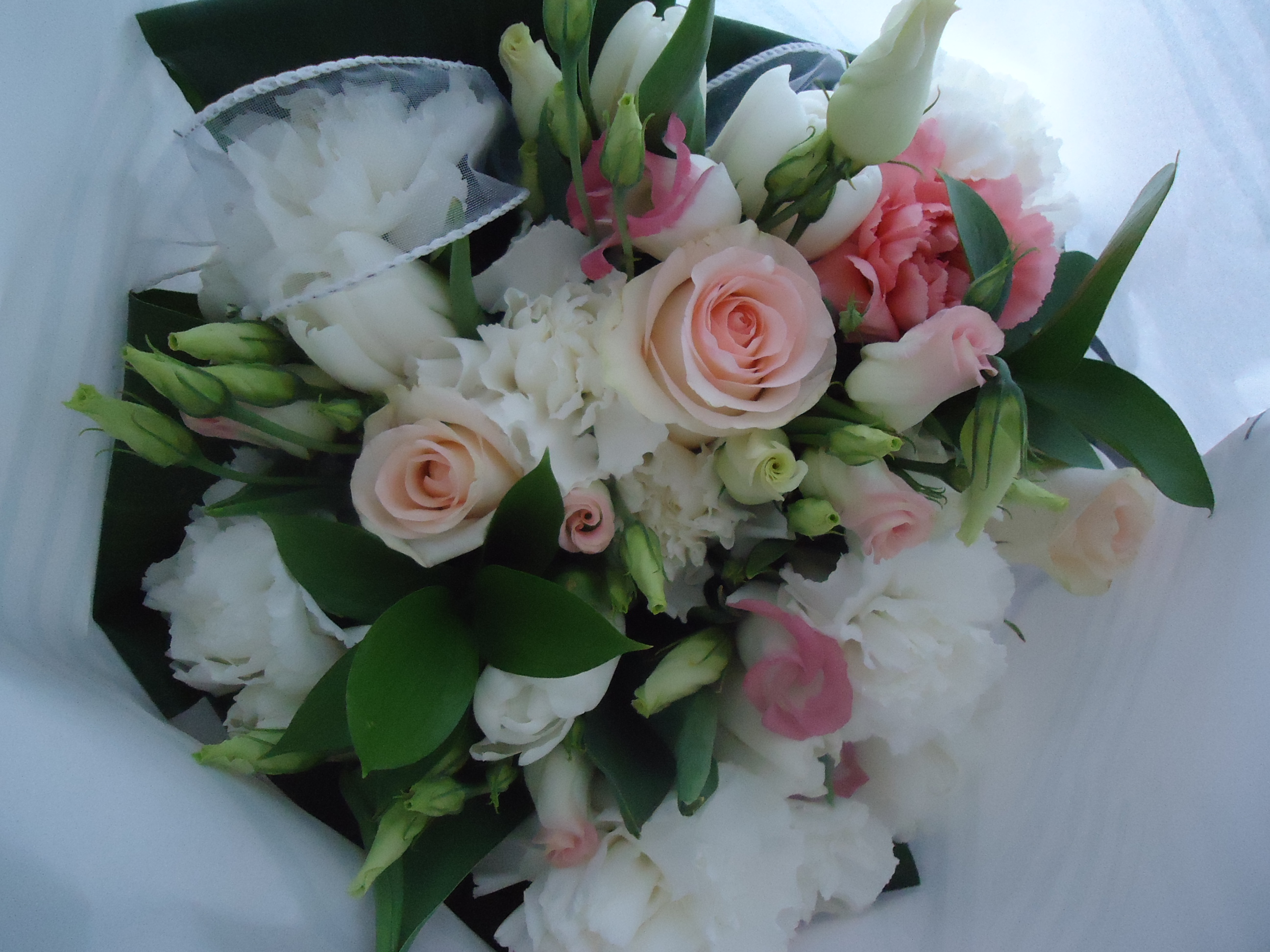 Květiny - Ivana Samková foto 3