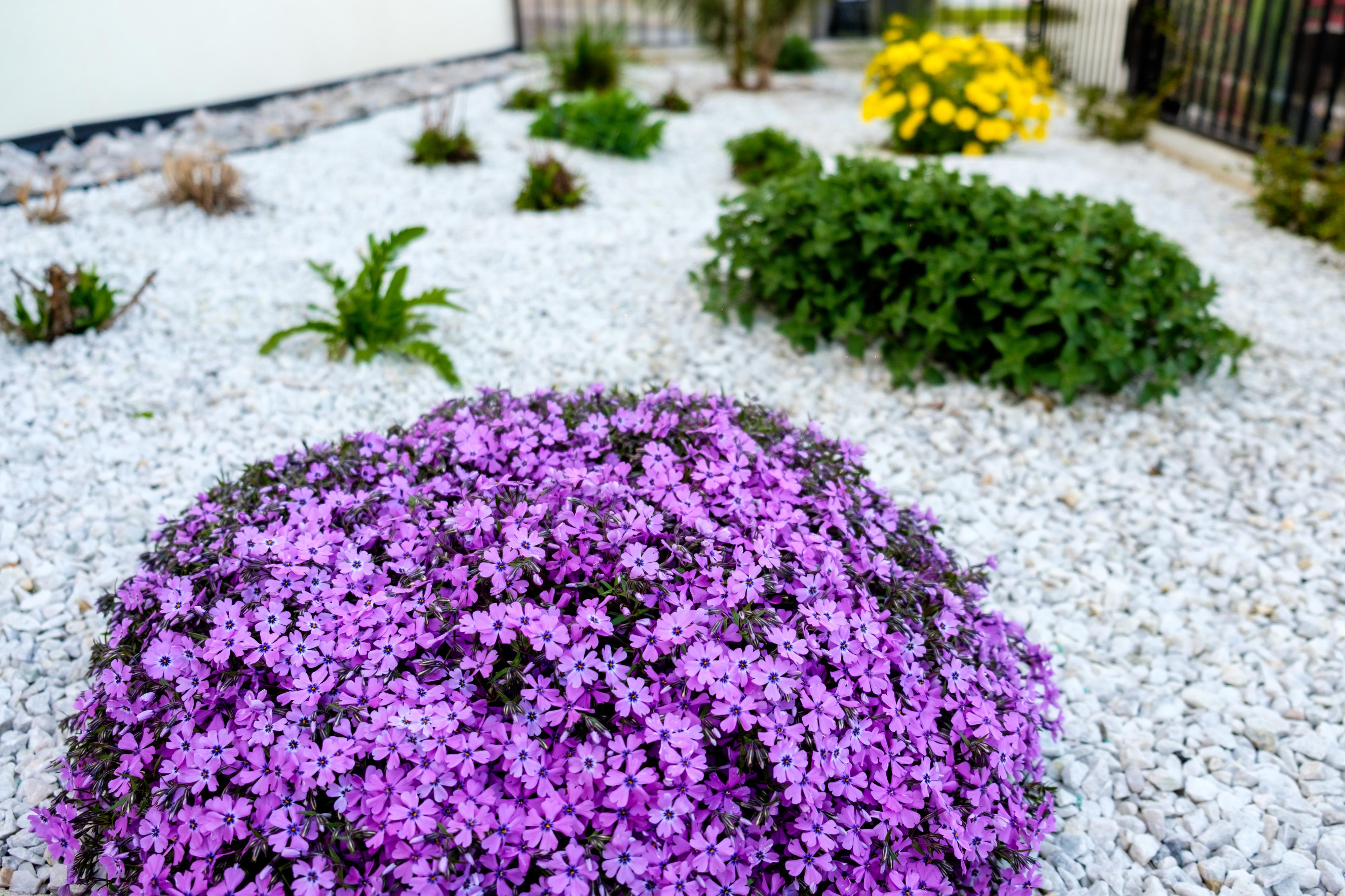 Zahrady Běloušek foto 2