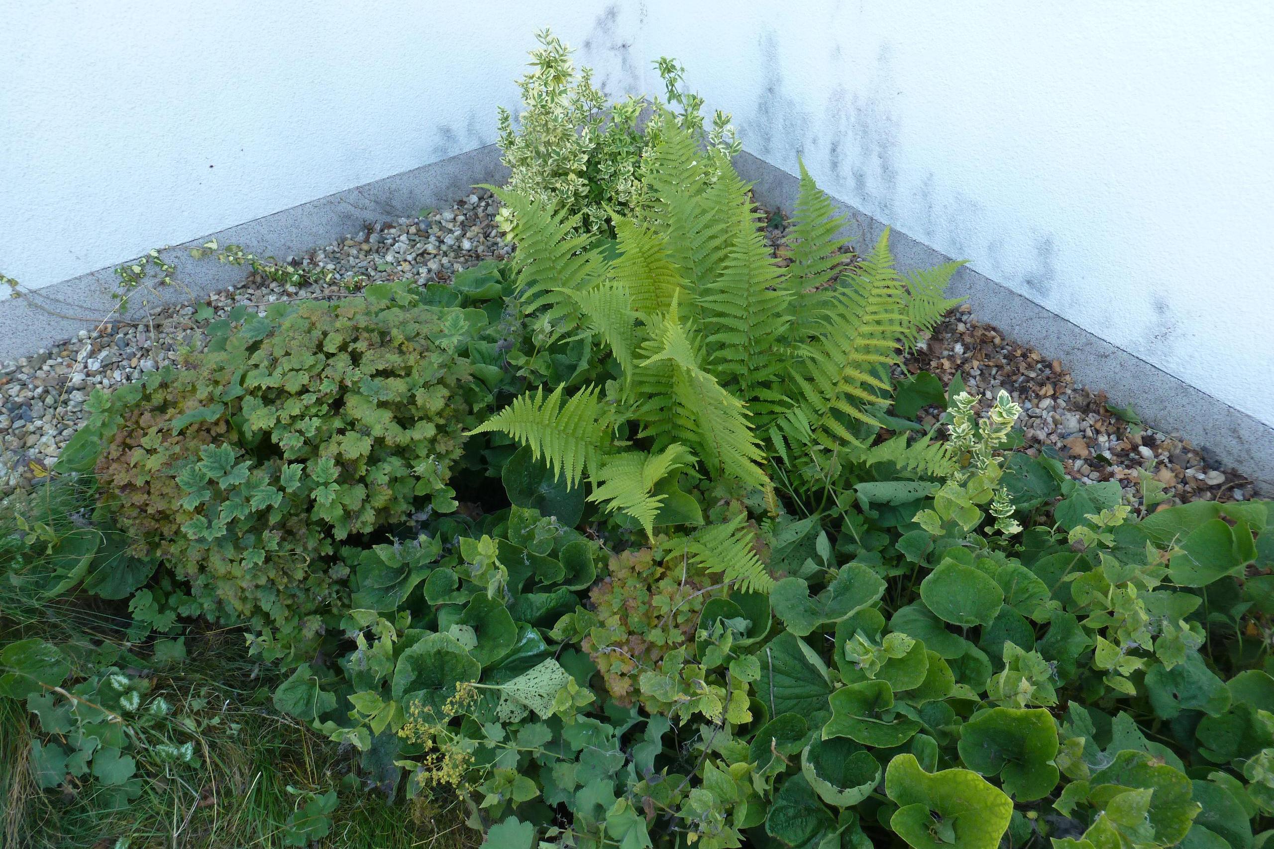 Ing. Jiří Krechler