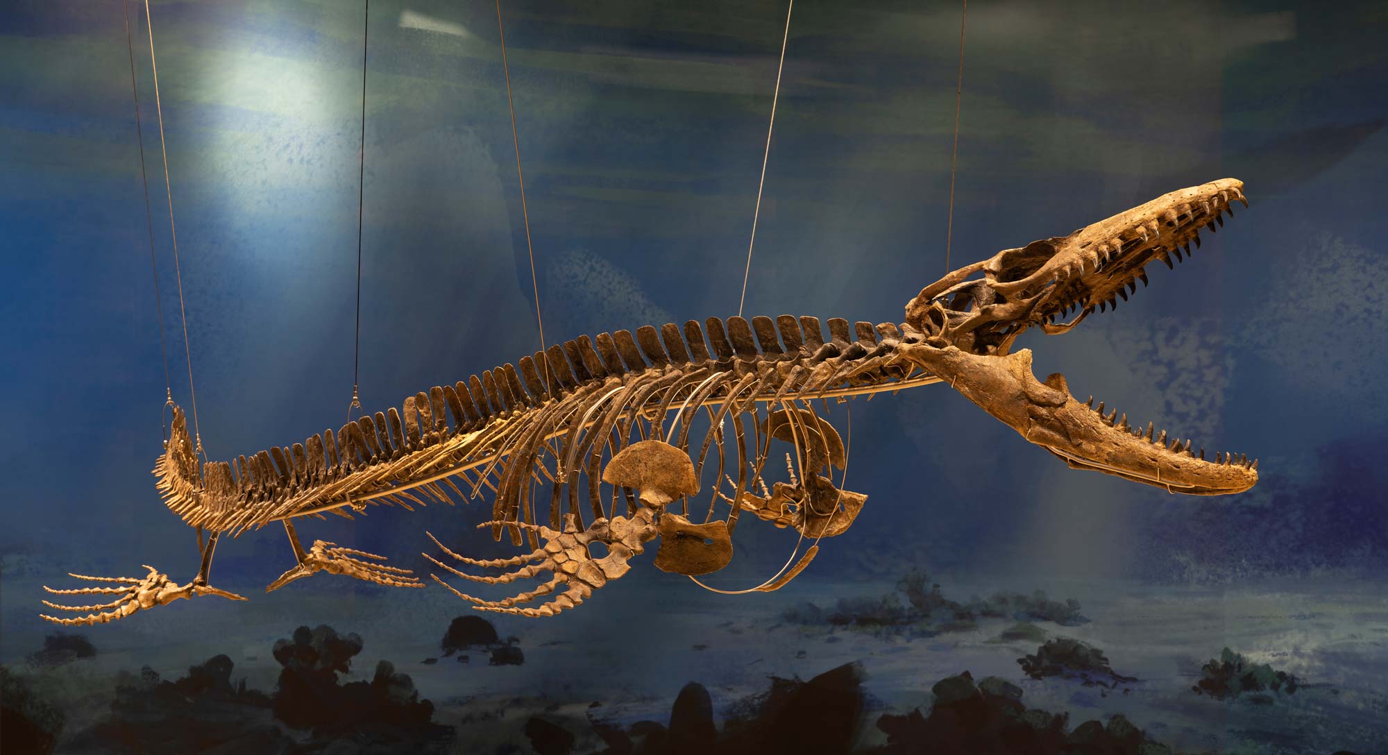 Dinosauria Museum Prague foto 2