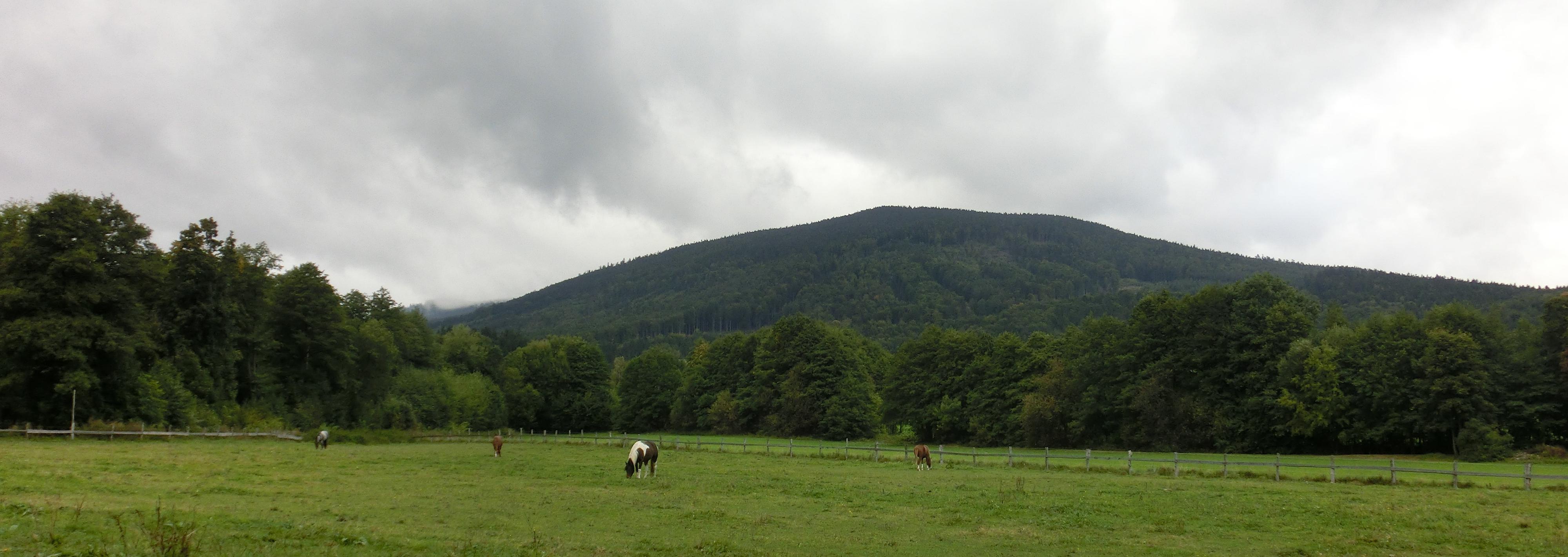 Ranč Mustang foto 4