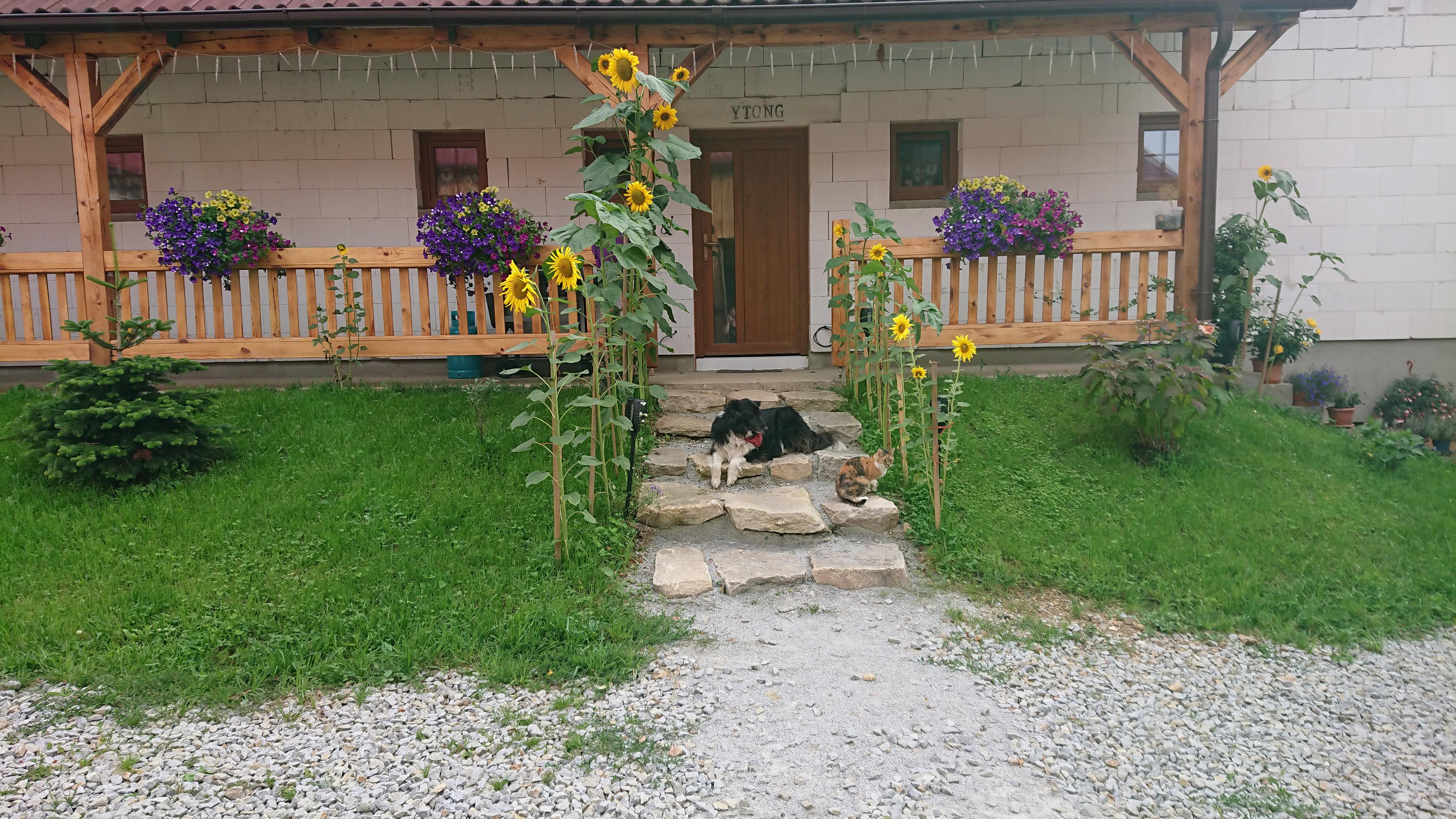 Machoňův statek foto 2