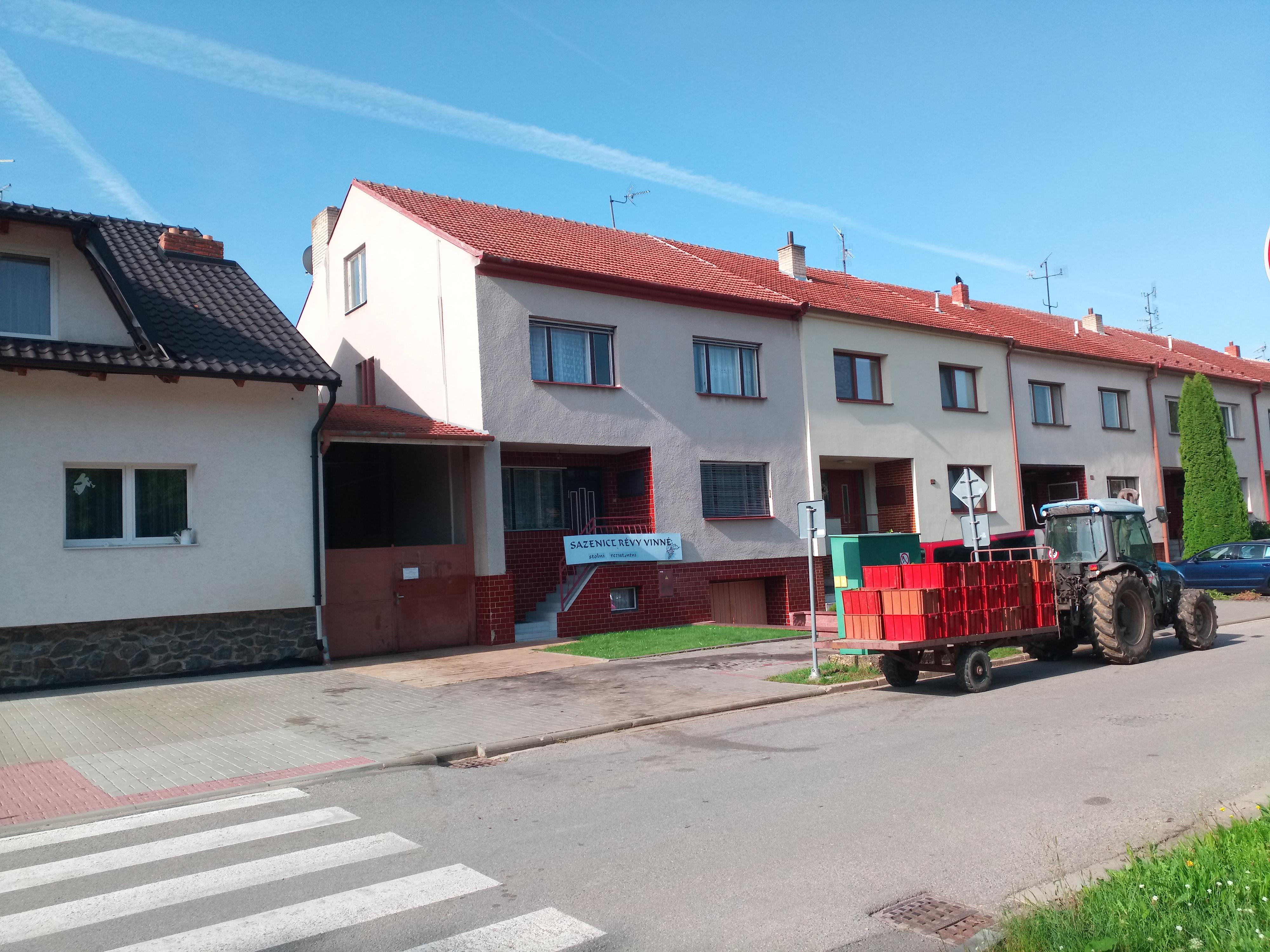 Sazenice révy - BILOVIN s.r.o. foto 5