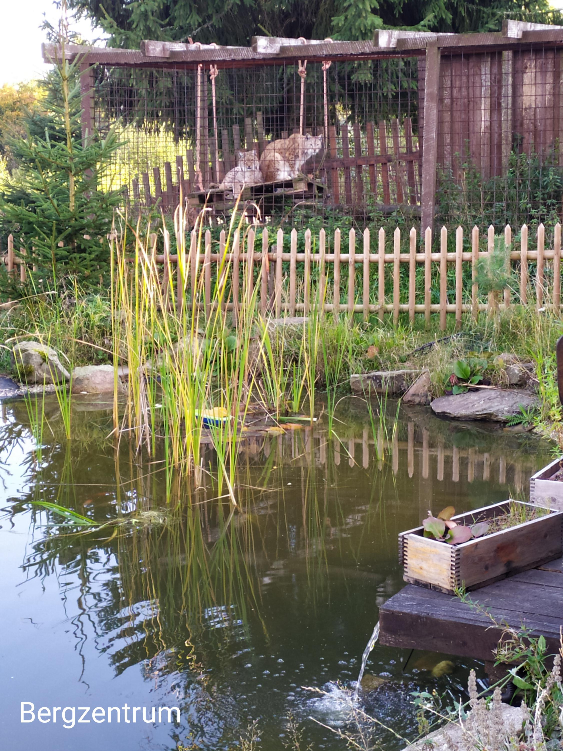 Hotel Bellevue foto 6