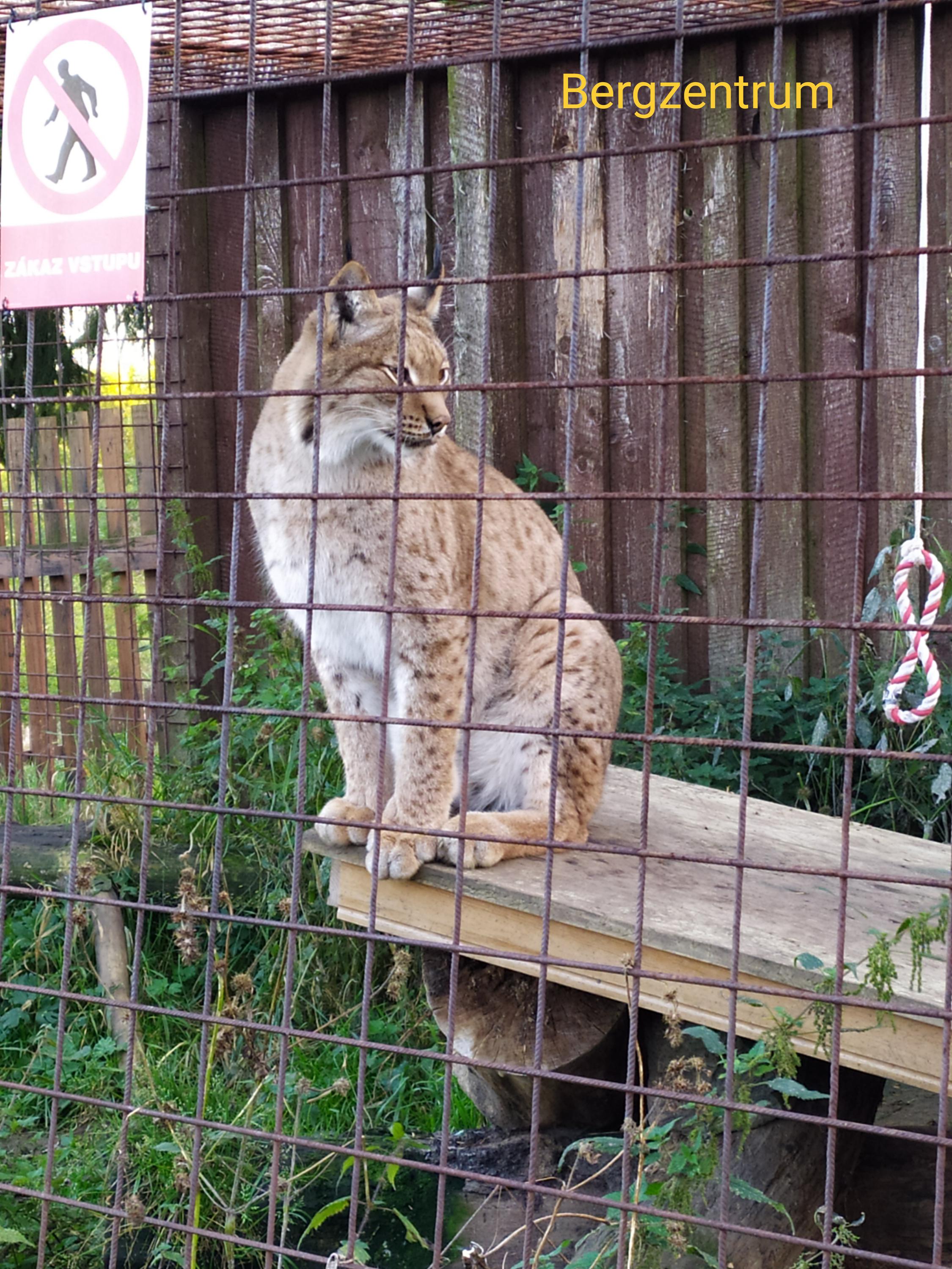 Hotel Bellevue foto 2