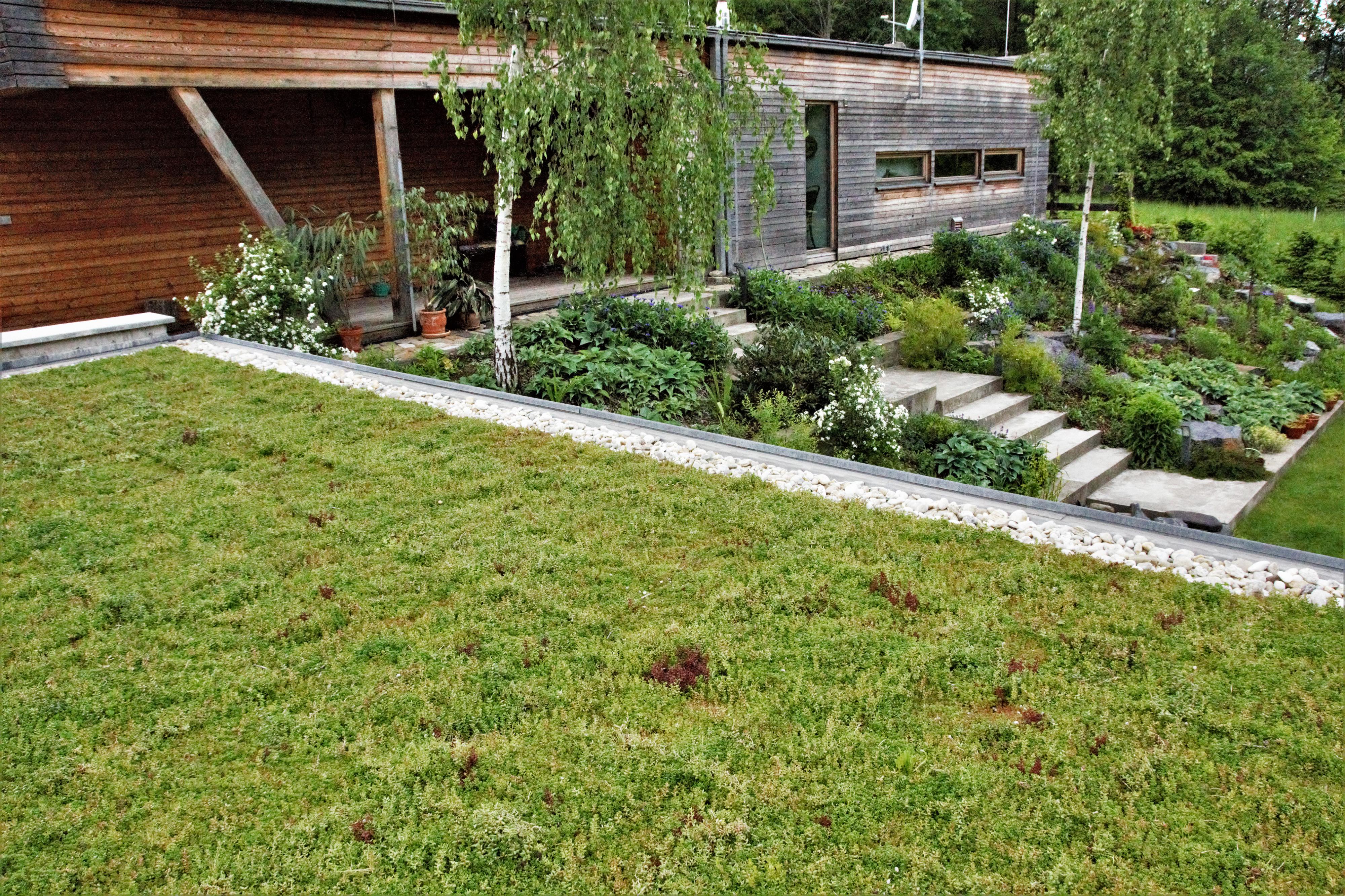 Zelené střechy ECOSEDUM® PACK foto 3