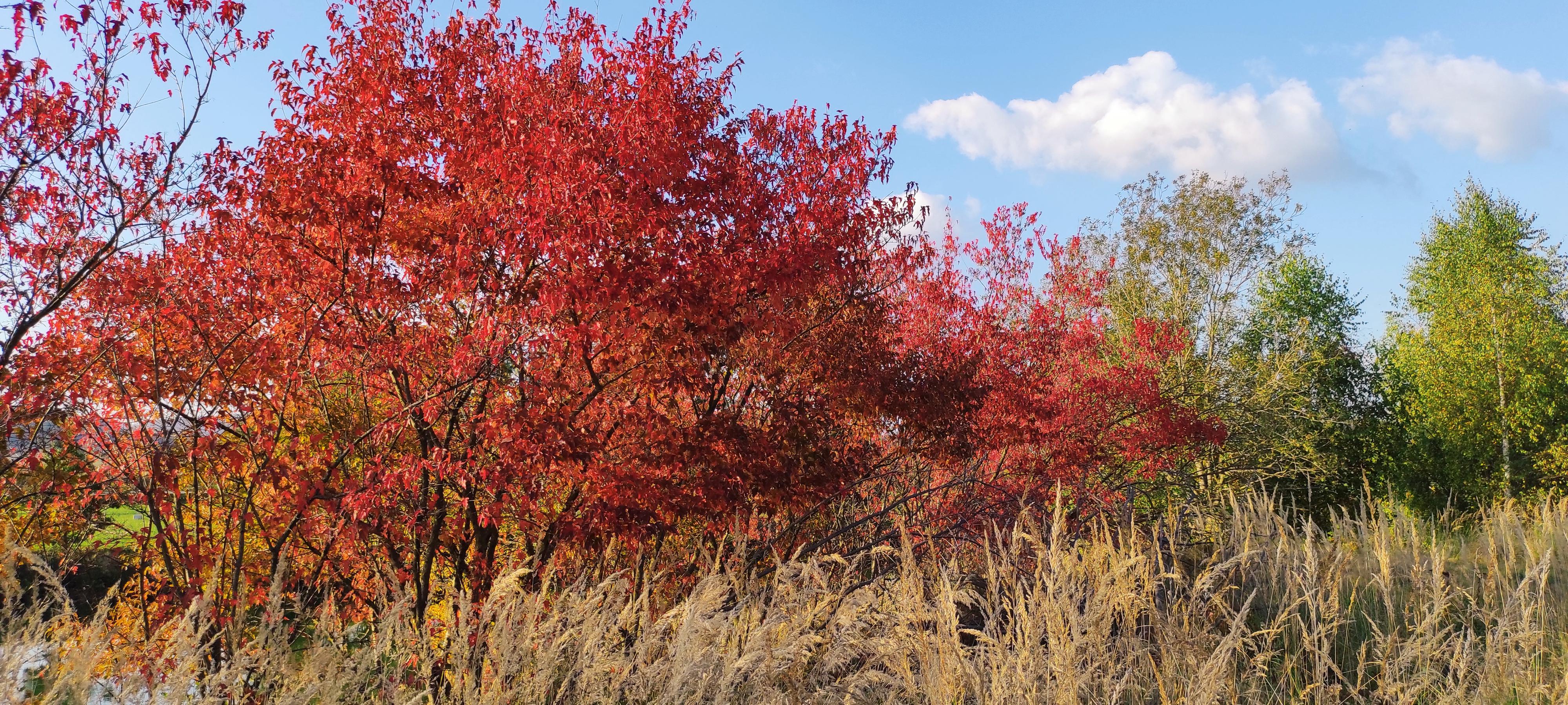 Silnice Klatovy, a.s. foto 4