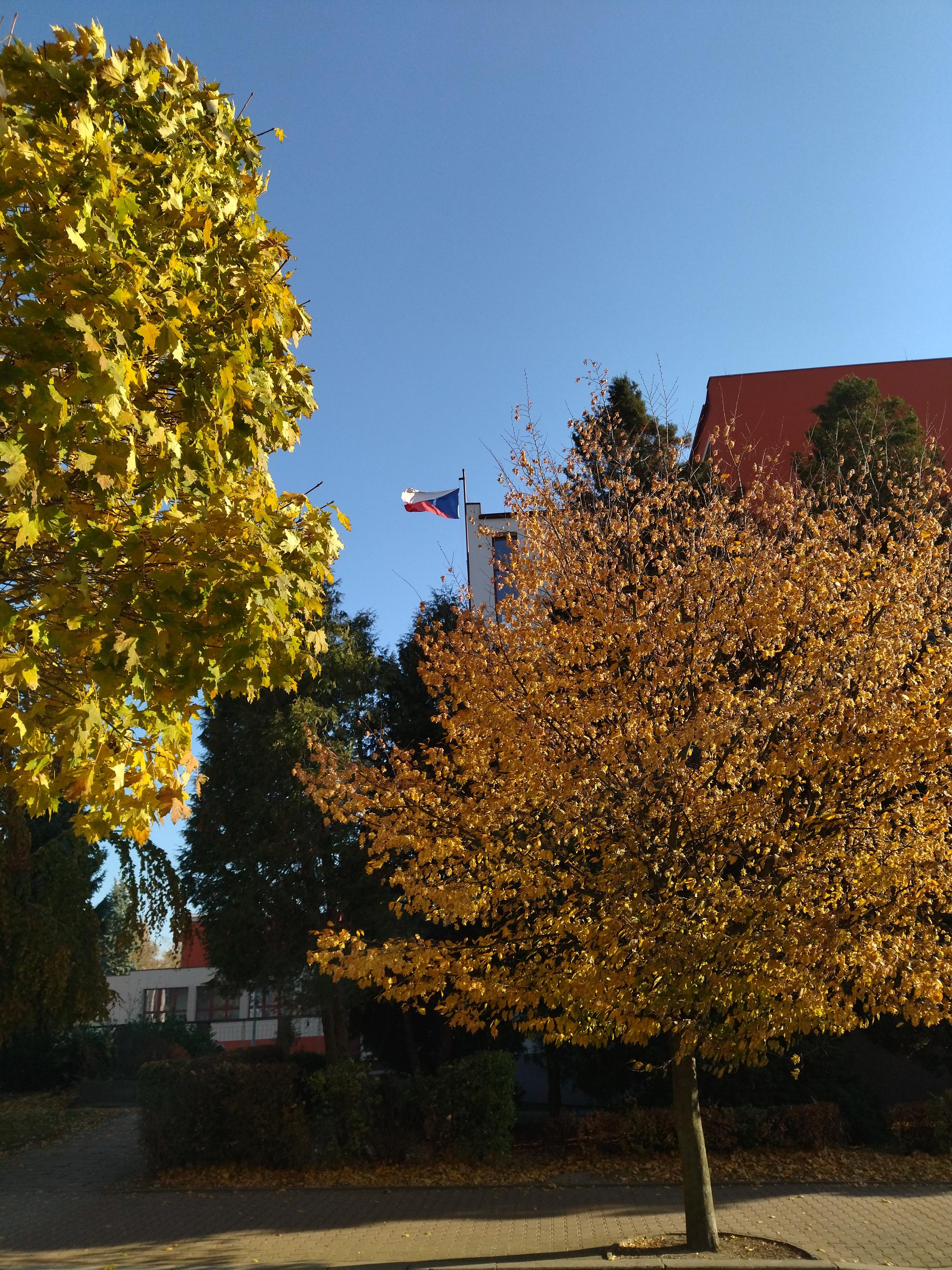 Základní škola Česká Třebová, Habrmanova foto 2