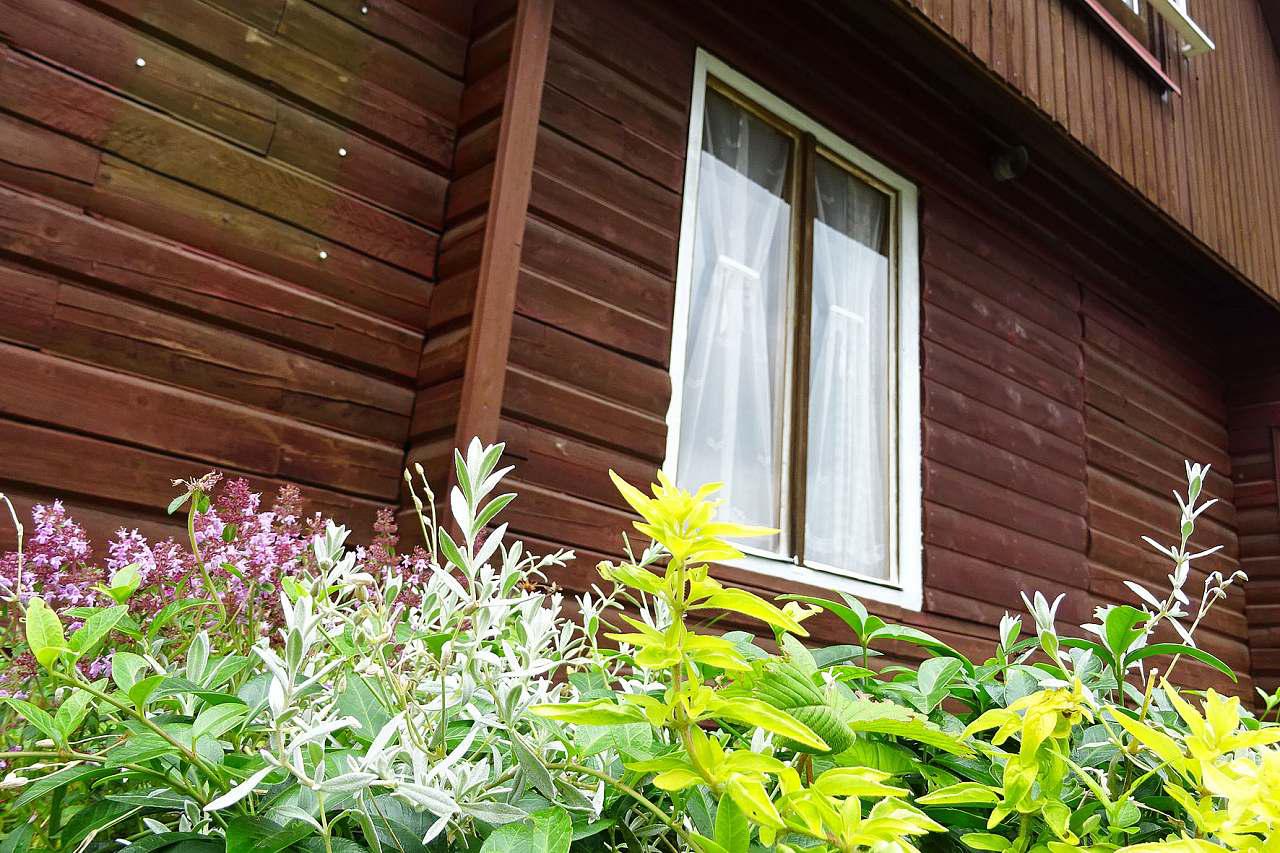 Bungalov Bela foto 2